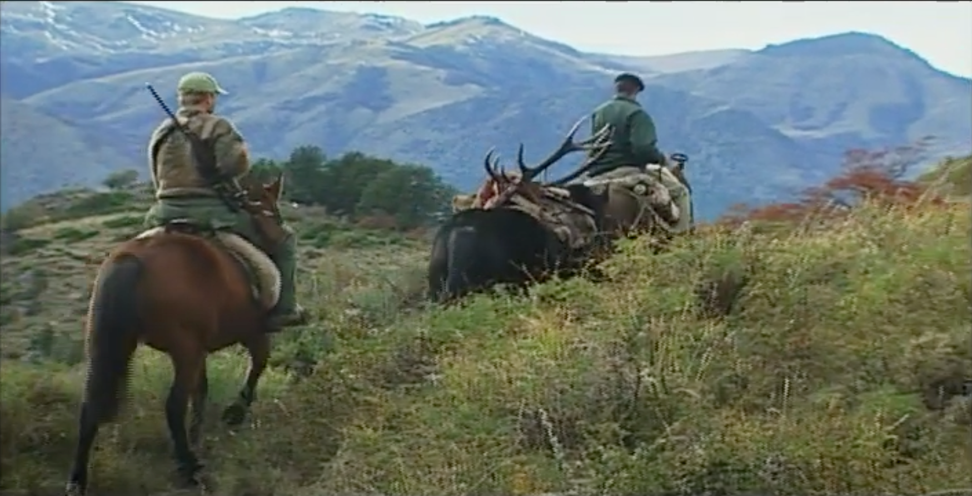 Success High in the Andes Mountains