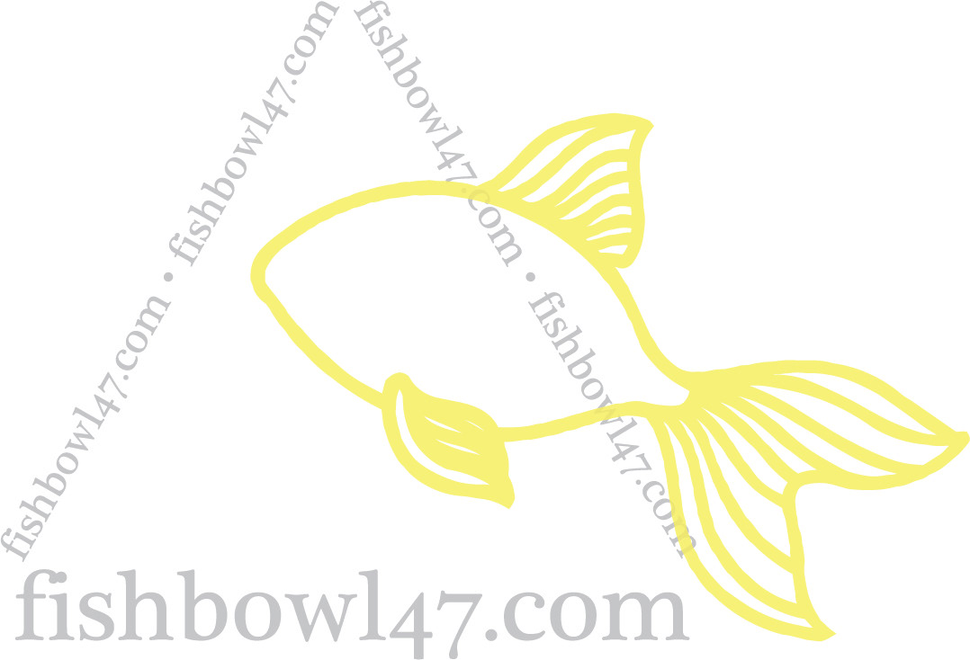 fishbowl47