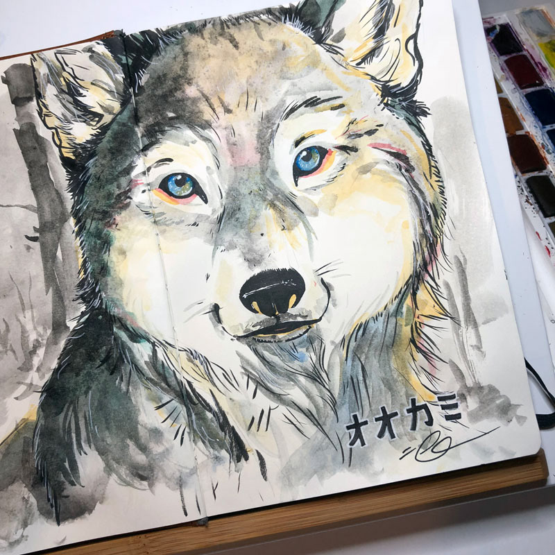 Wolf