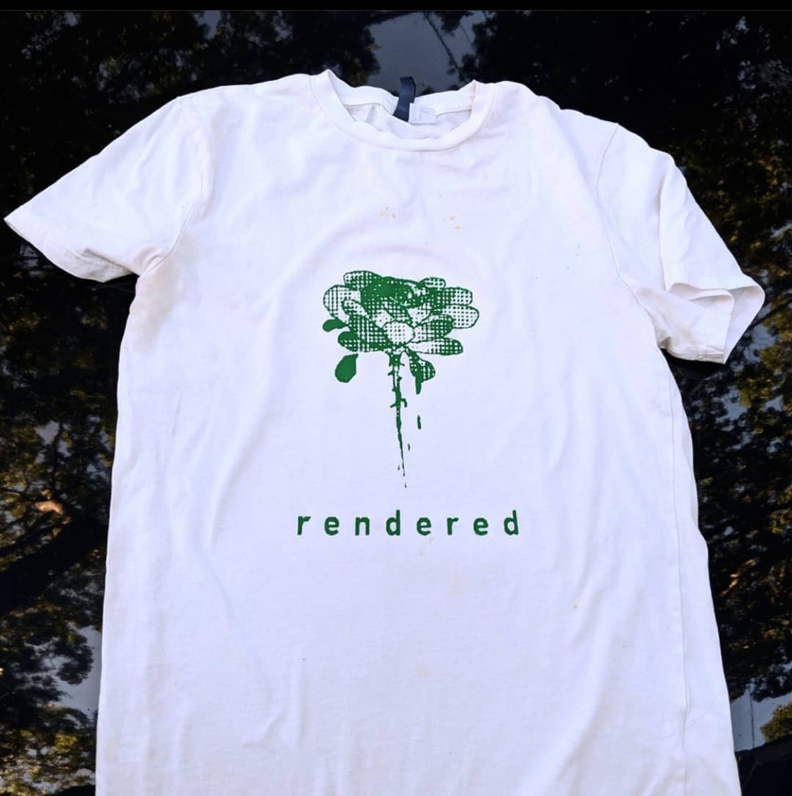 Nice product shot from the hood of my dad's car.