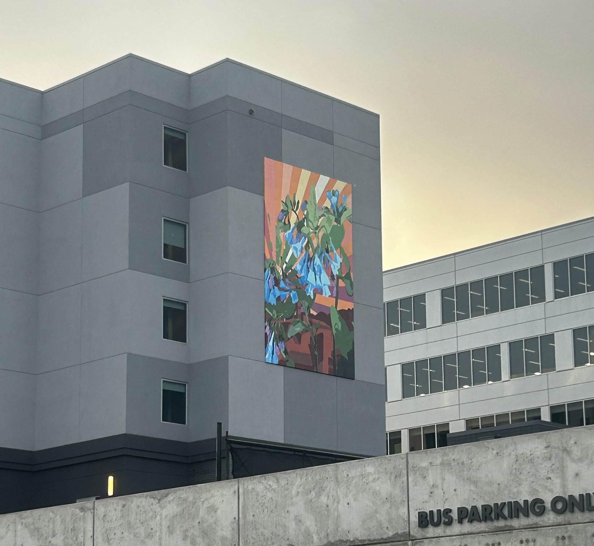 Designer : Adrienne Dixon