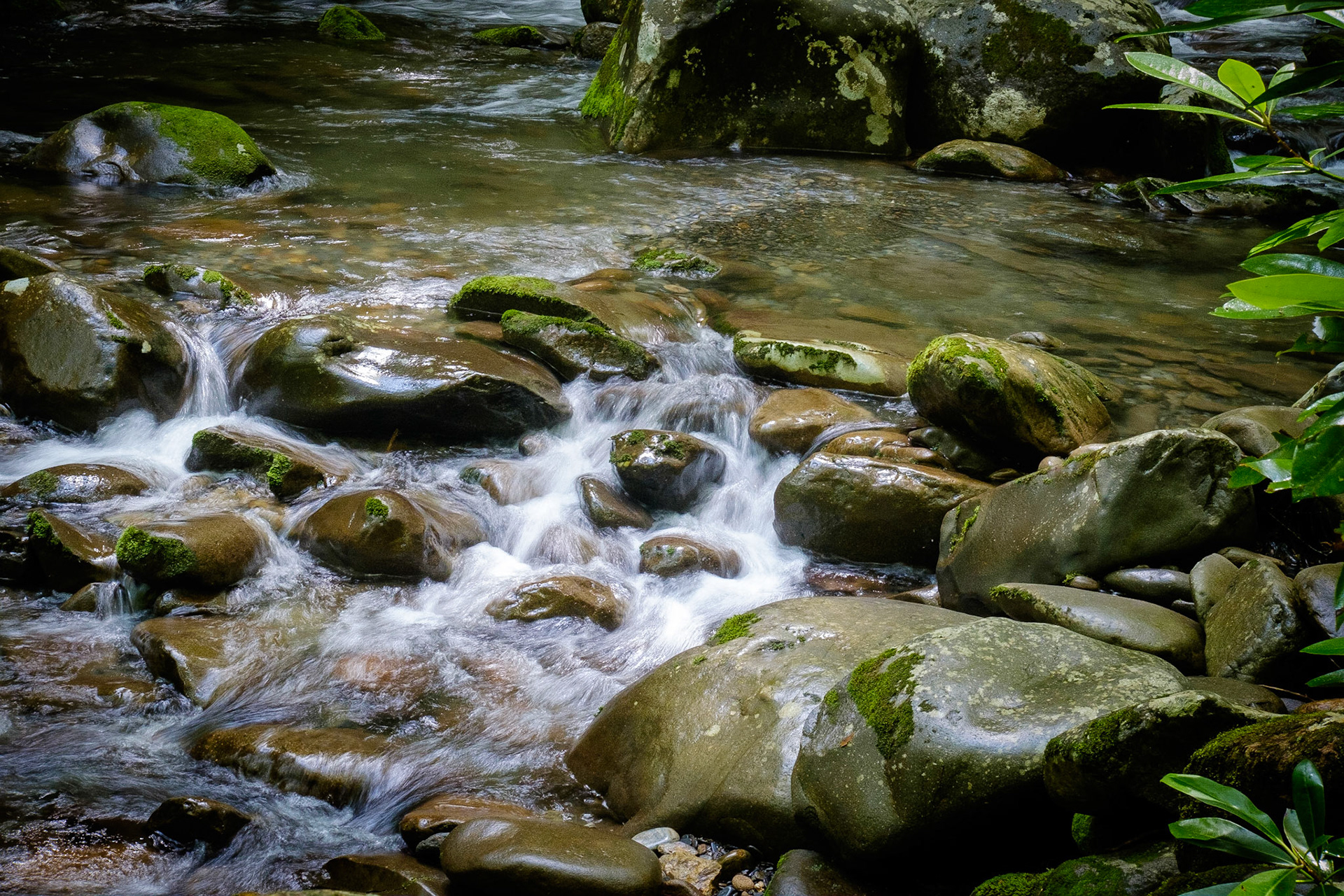 Great Smoky Mountains