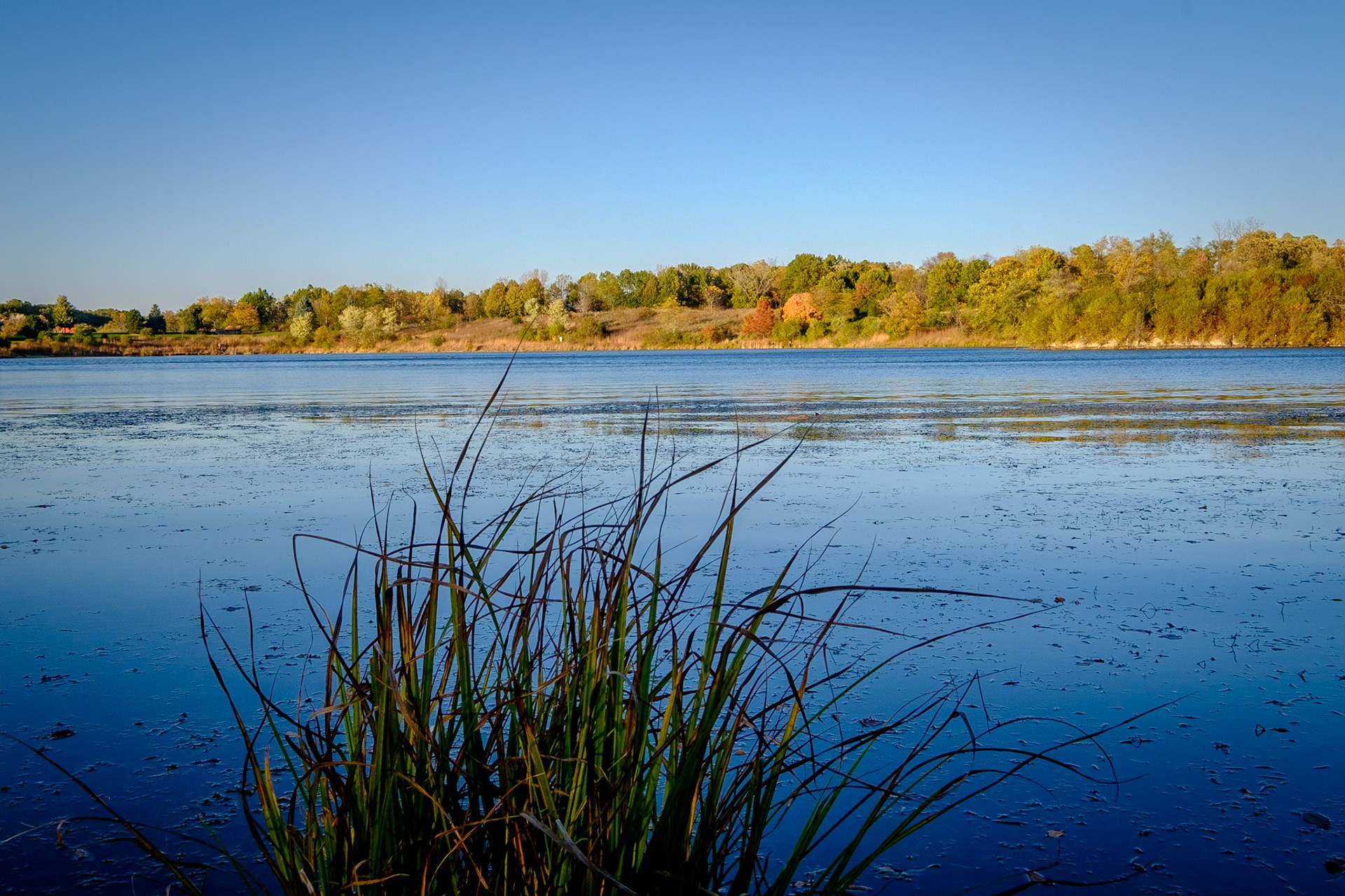 Blackwell Forest Preserve