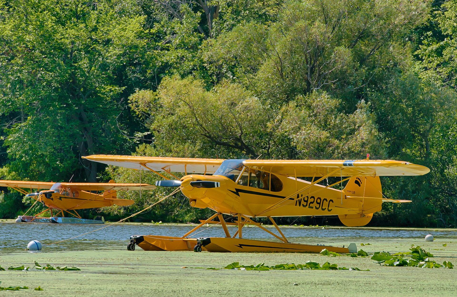 CubCrafters Top Cub