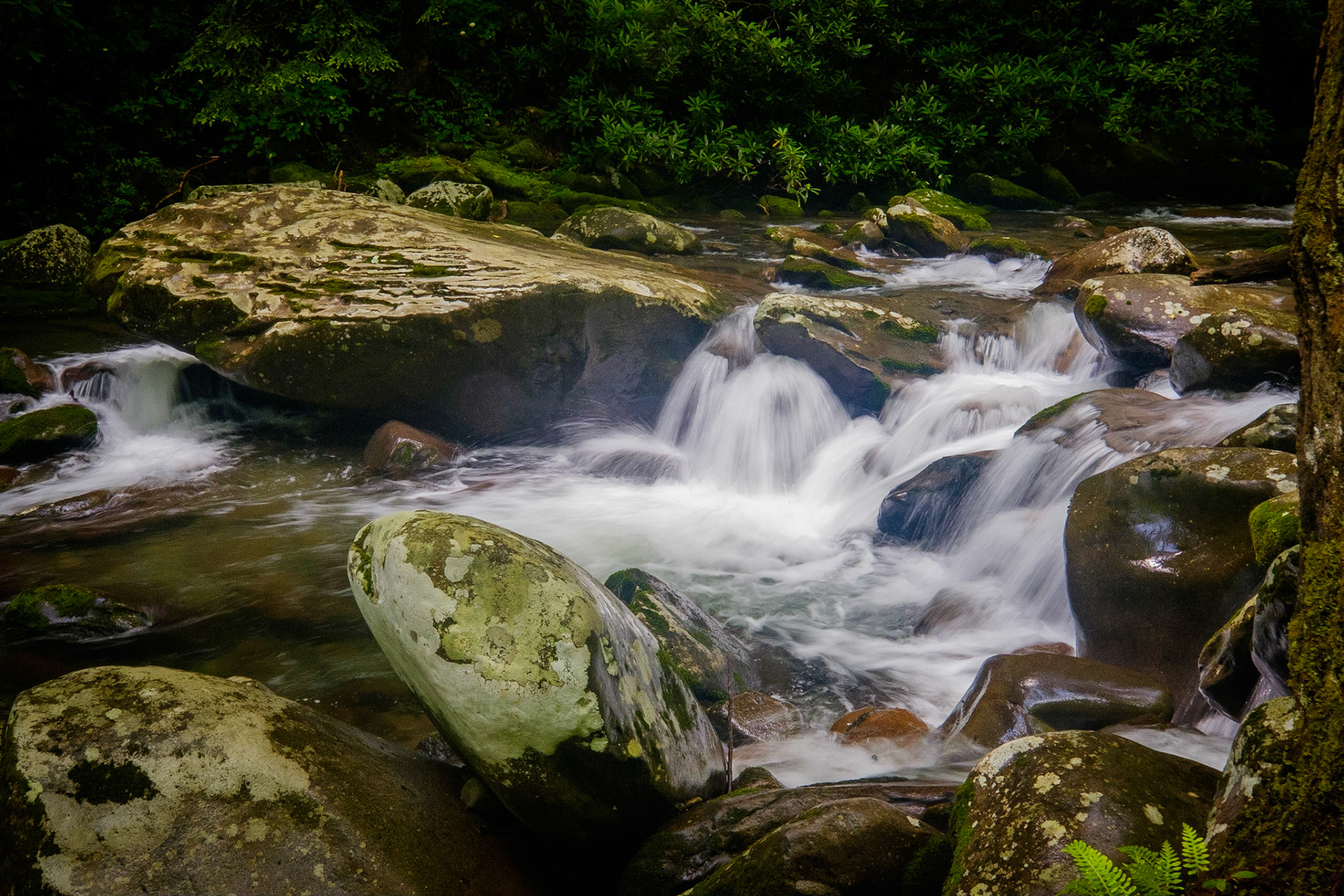 Great Smoky Mountains