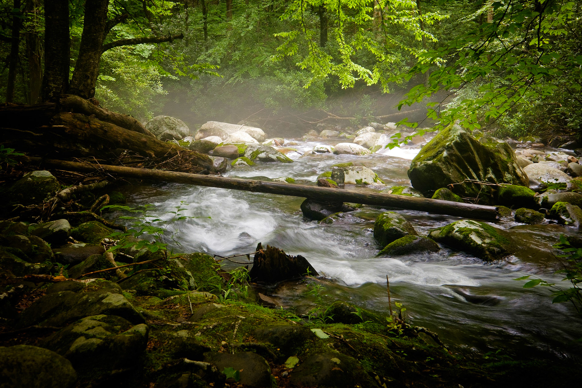 Great Smoky Mountains