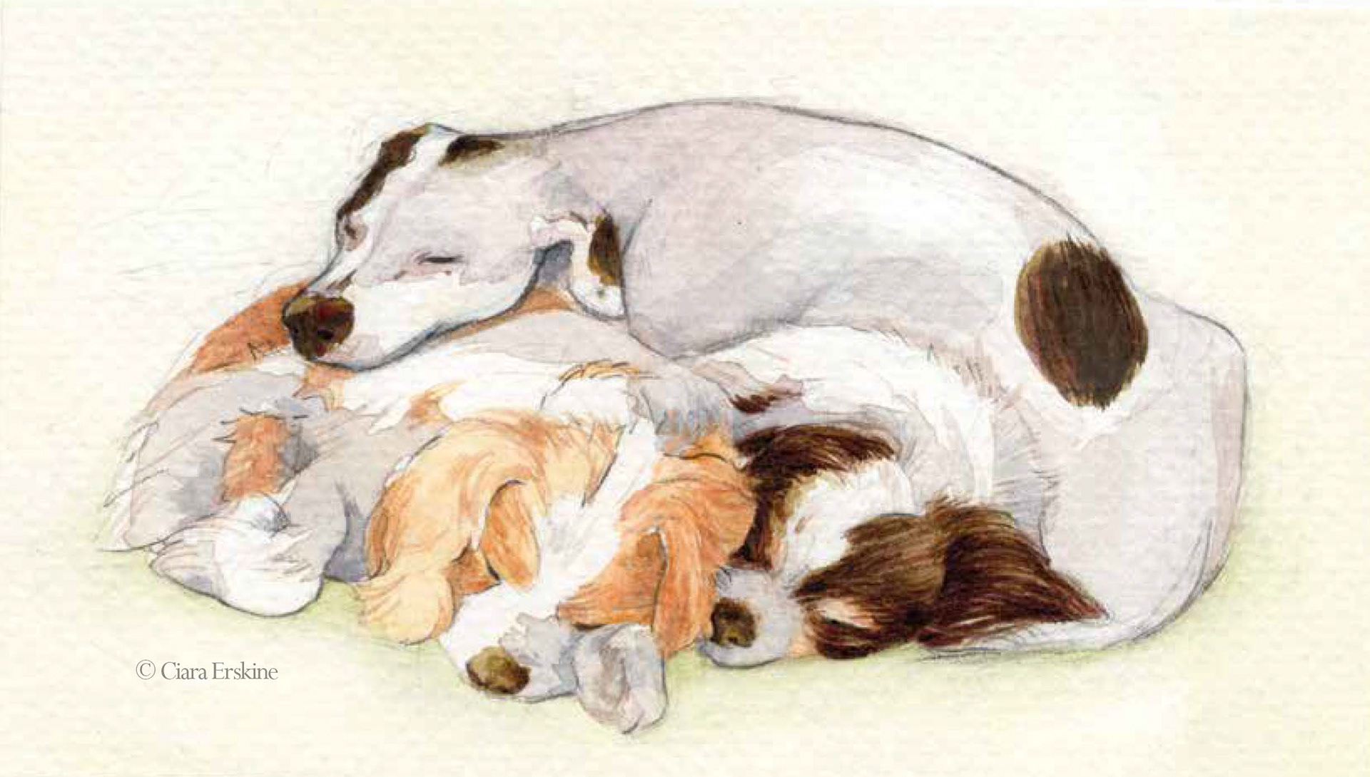 Three sleeping dogs in graphite and watercolour, a present for my best friend