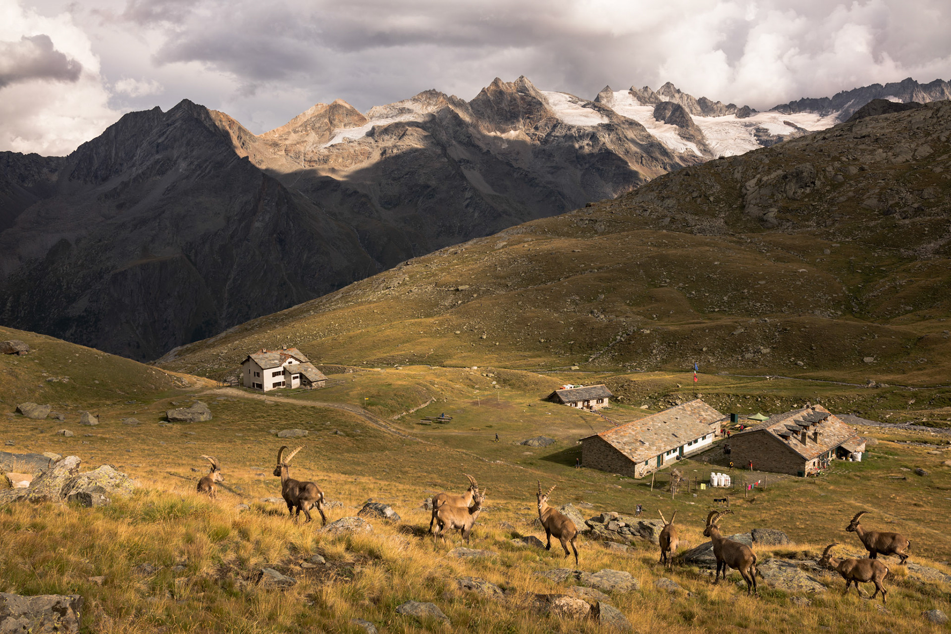 Rifugio Vittorio Sella (2588 m)