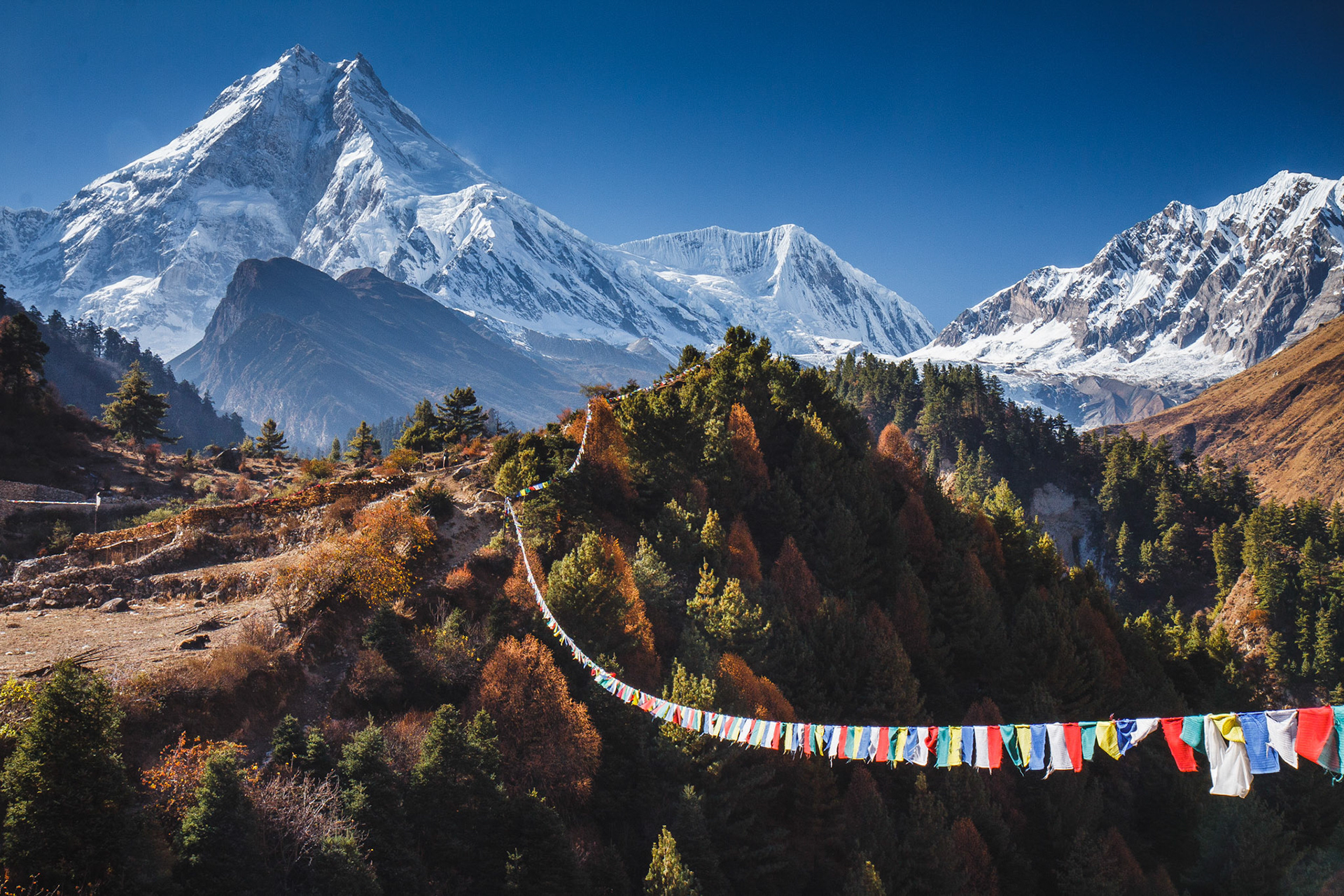 Manaslu view