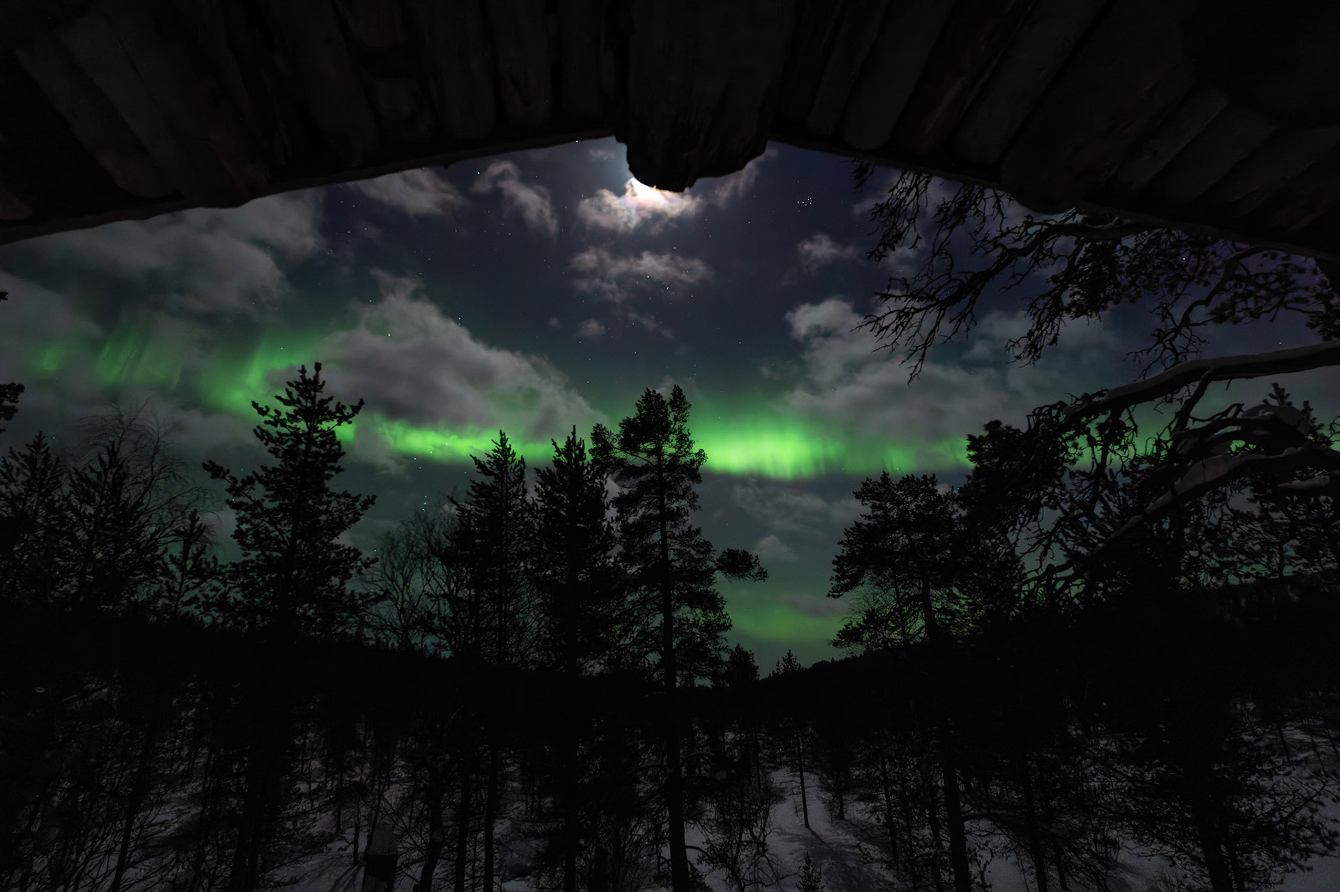 Aurora