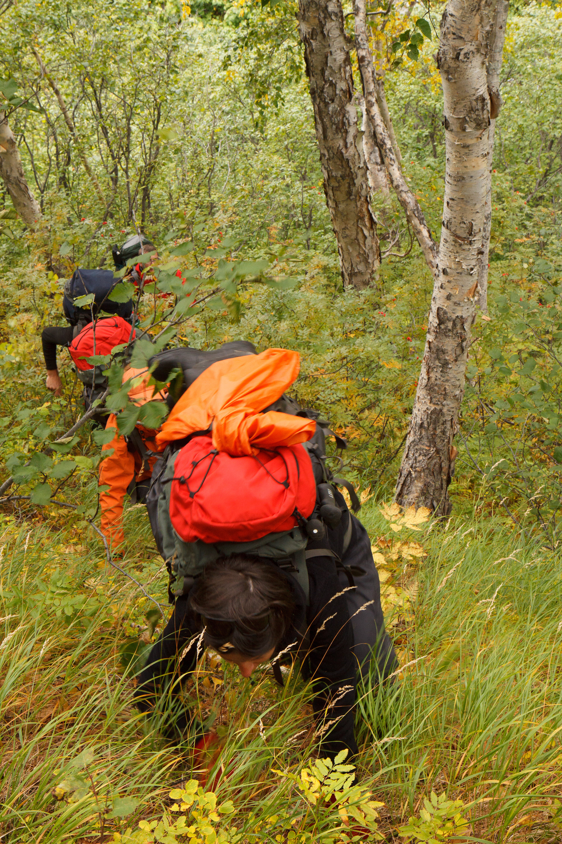Stlánik = impenetrable forest