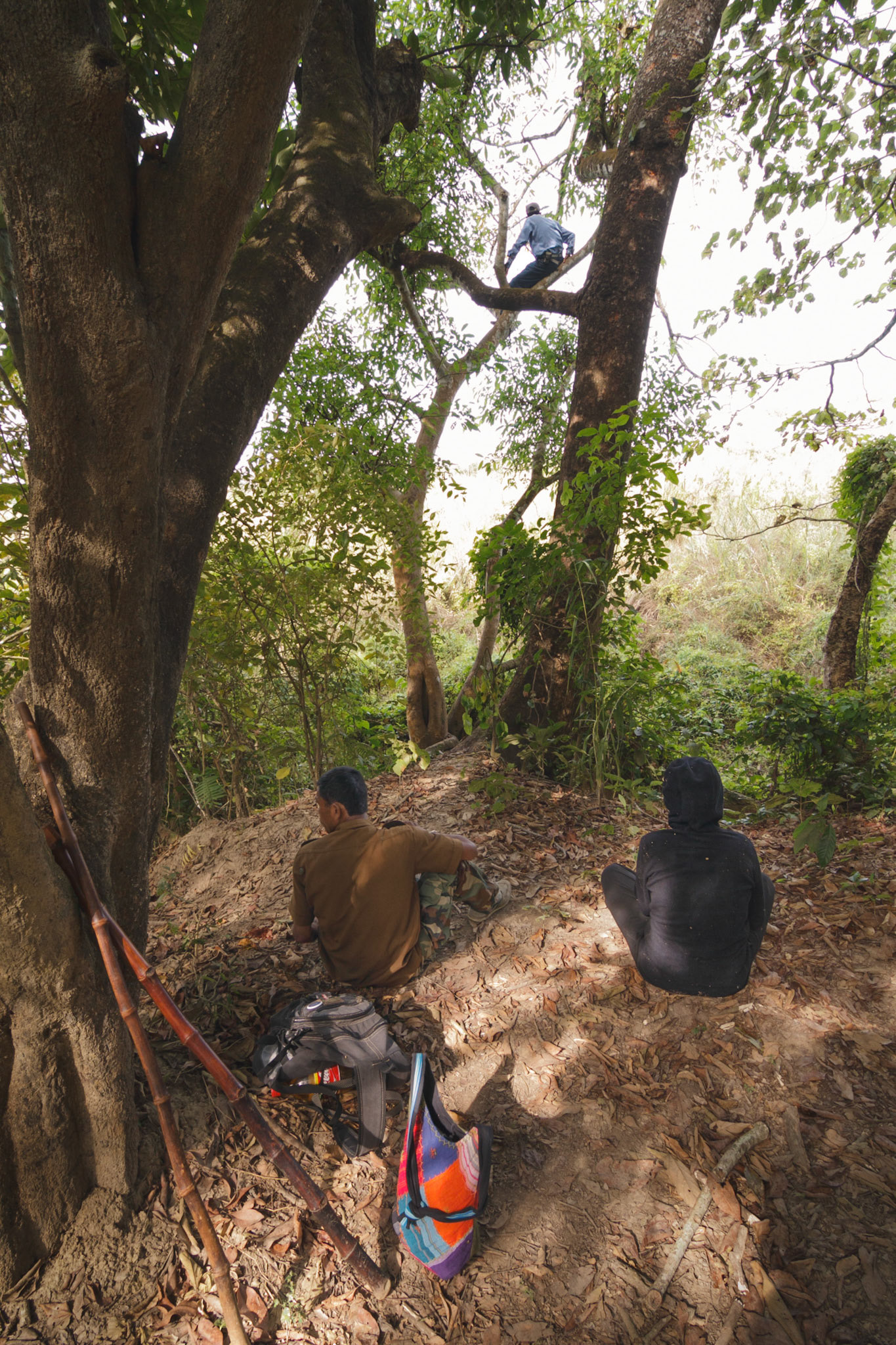 Our guide climbed up to look out for rhinos he felt were around. Once he saw one, he mades us to climb the tree for views and safety as well:)