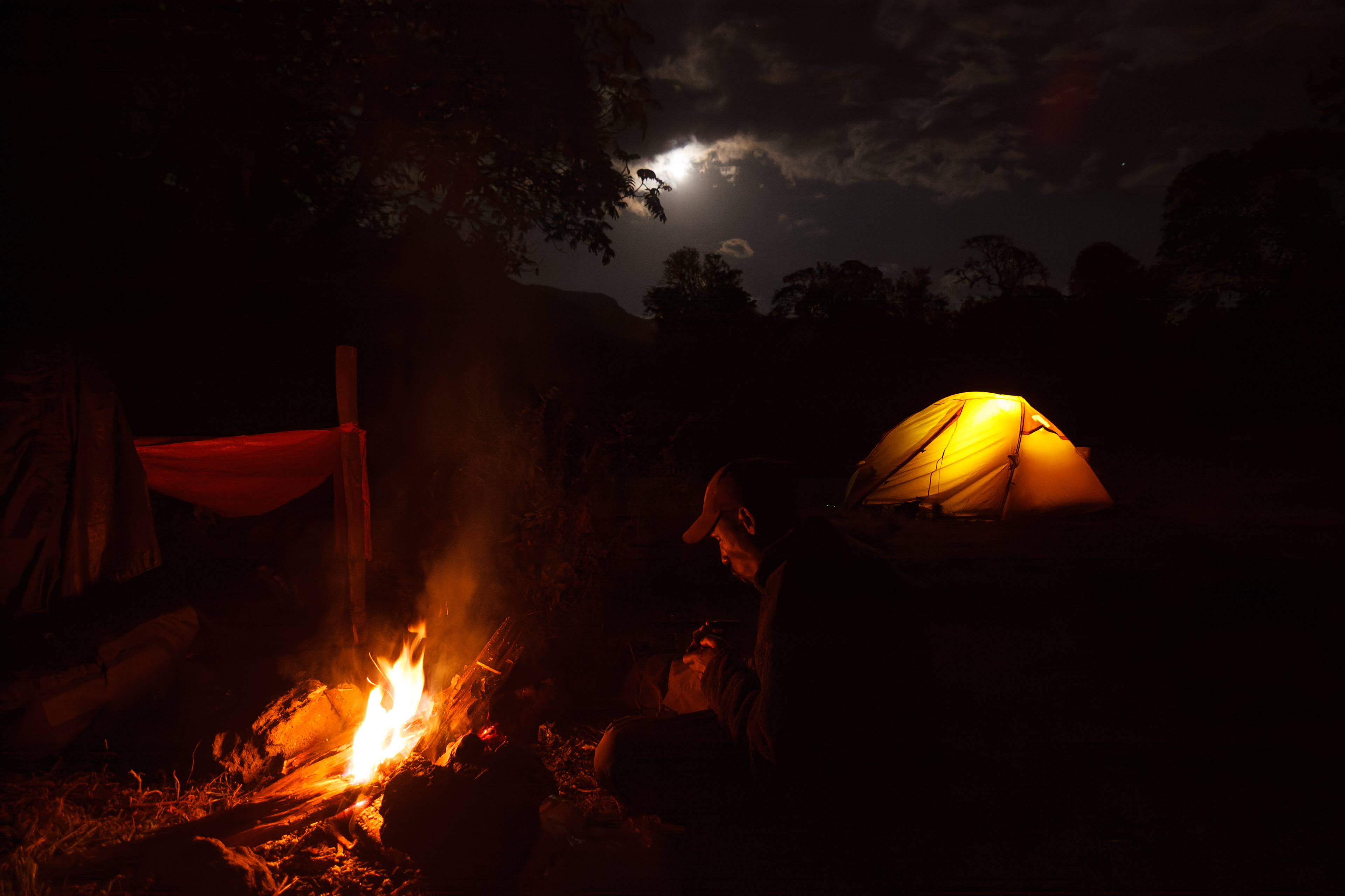 Night in Harenna forest