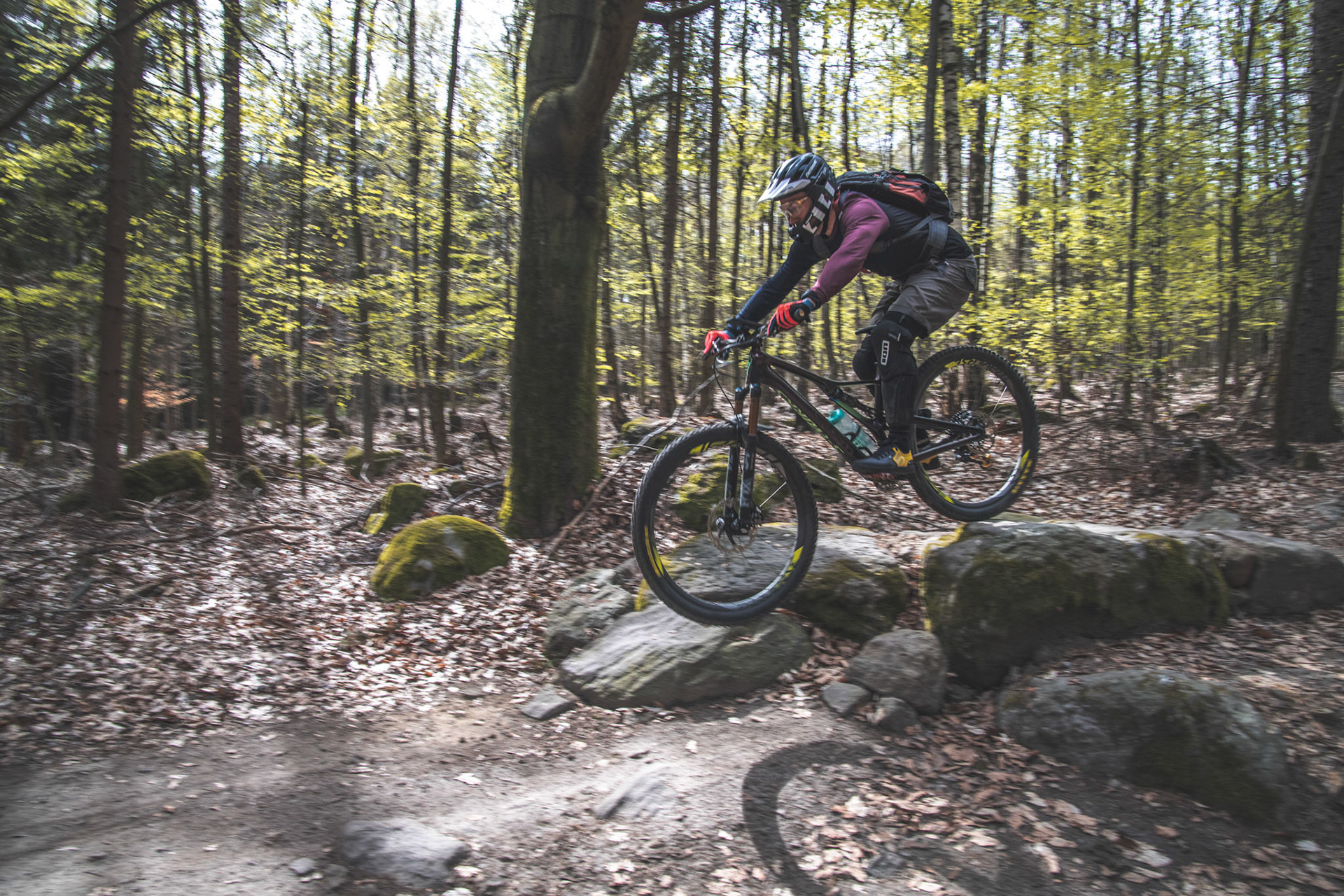 Modřínový trail