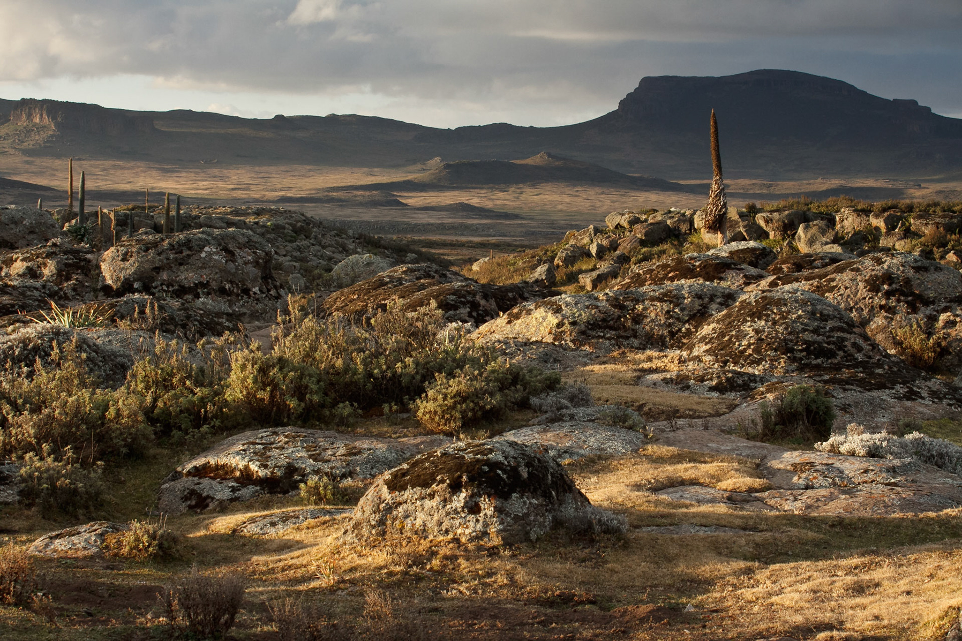 Bale mountains