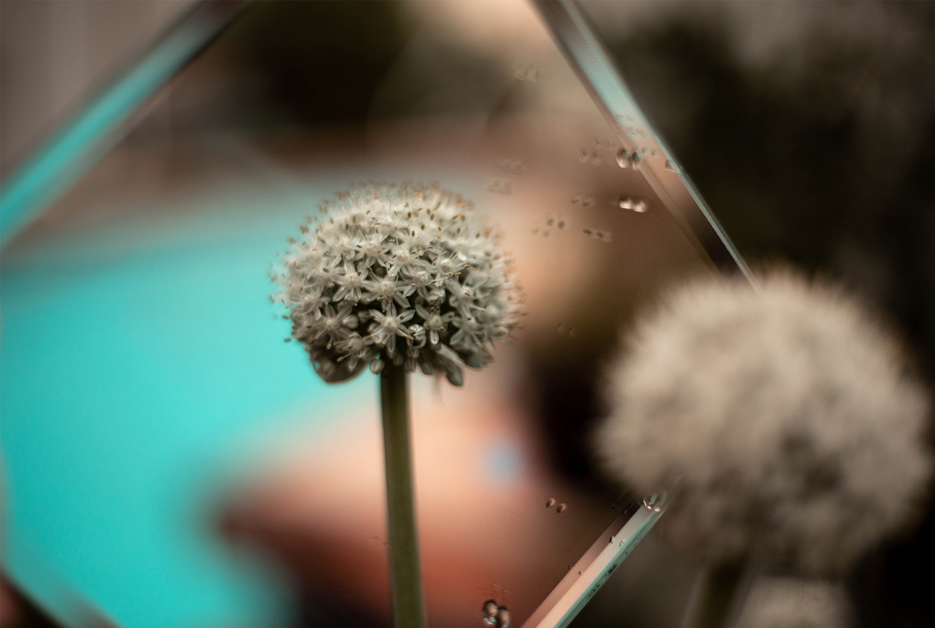 Reflections 5