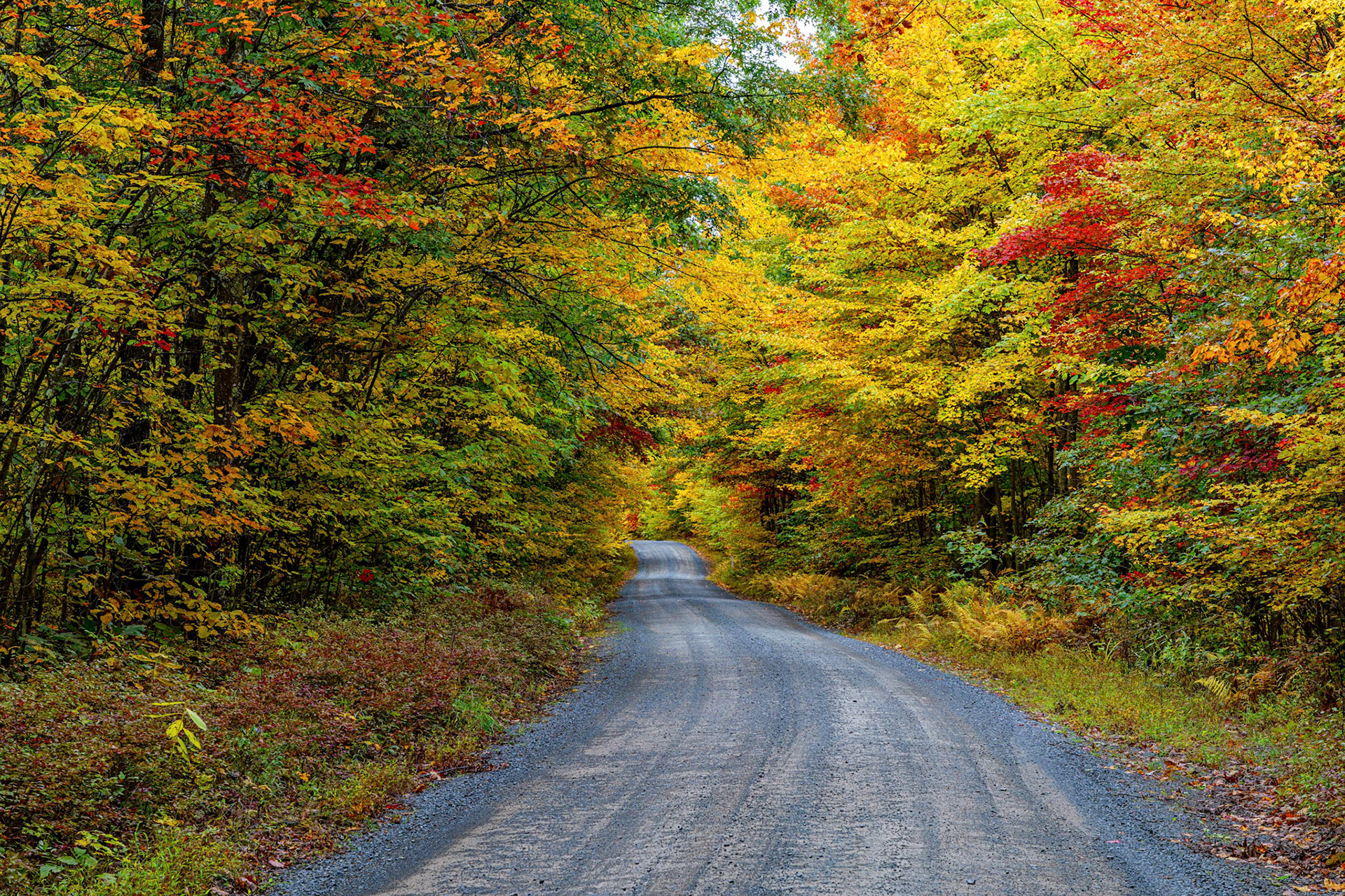 Autumn Drive~1
