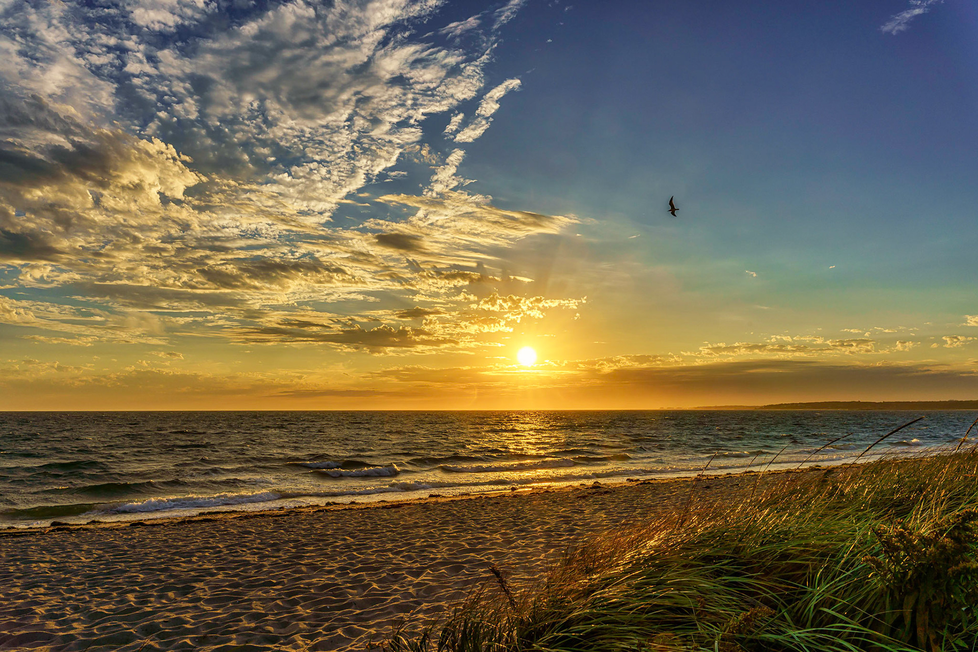 Cape Cod