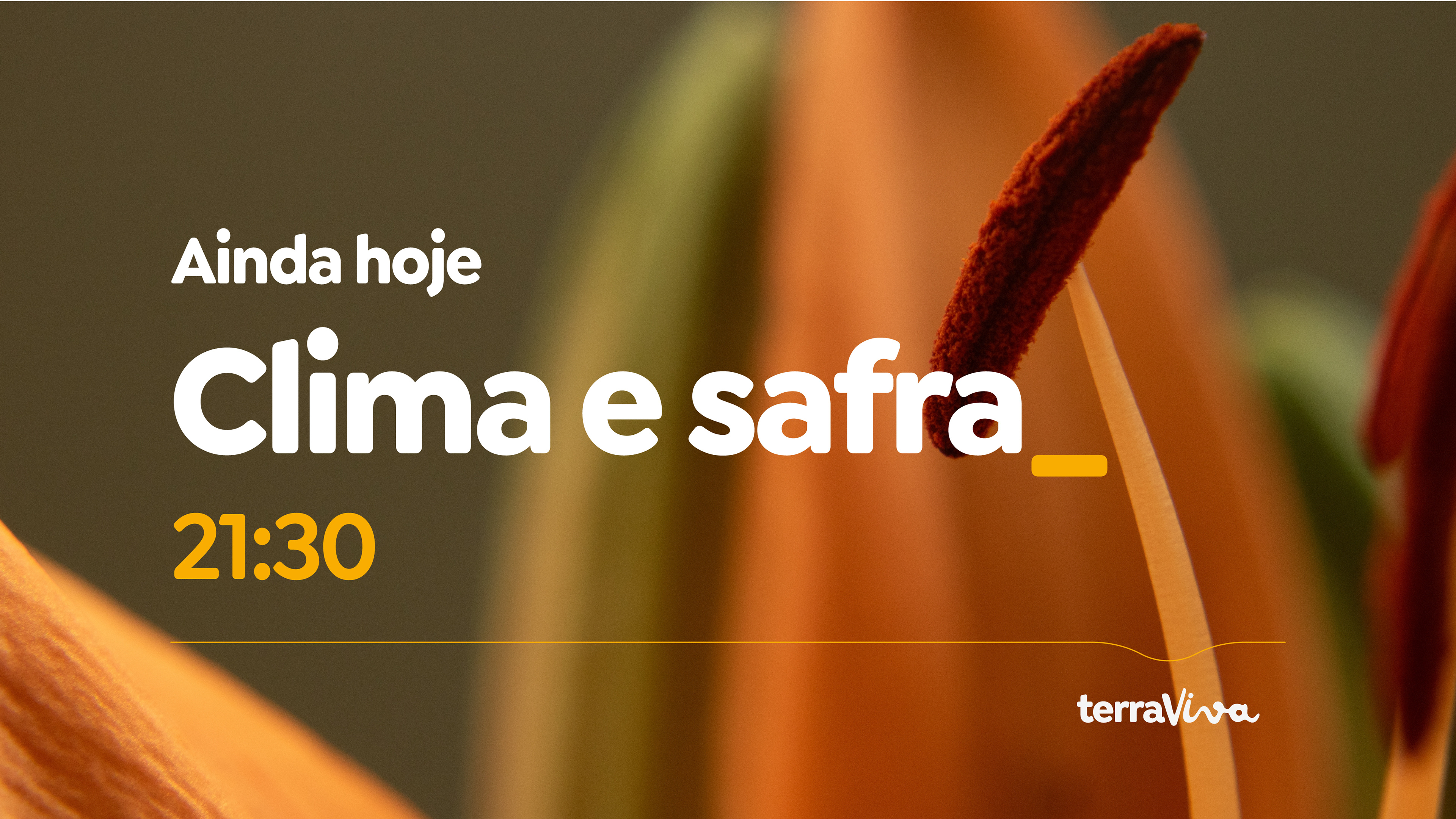 Arte digital com fotografias autênticas, cores vivas e elementos de branding agro que unem design editorial e linguagem visual digital.