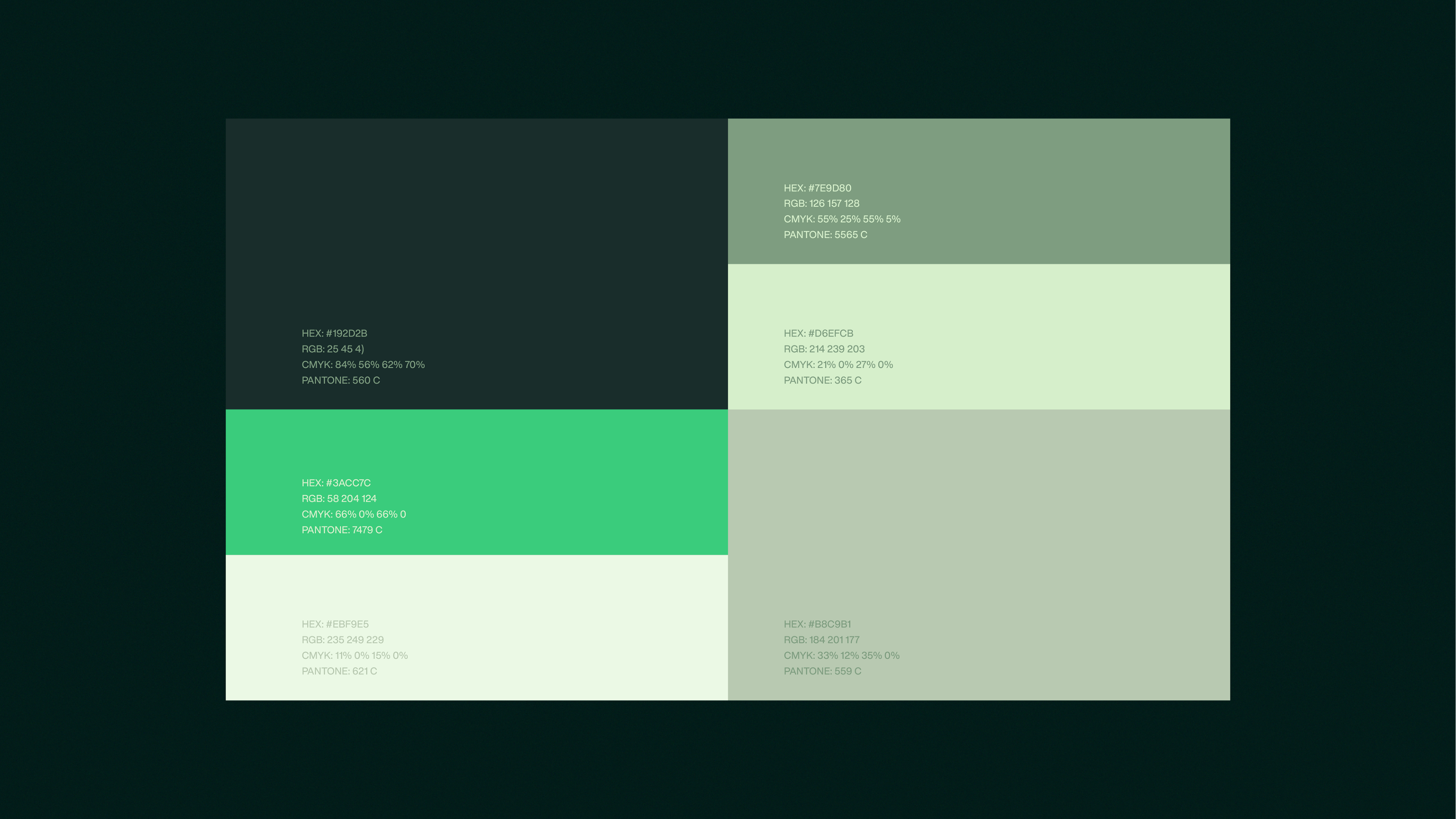 Paleta cromática da identidade visual Nexplan com cores institucionais aplicadas ao branding educacional e design contemporâneo.