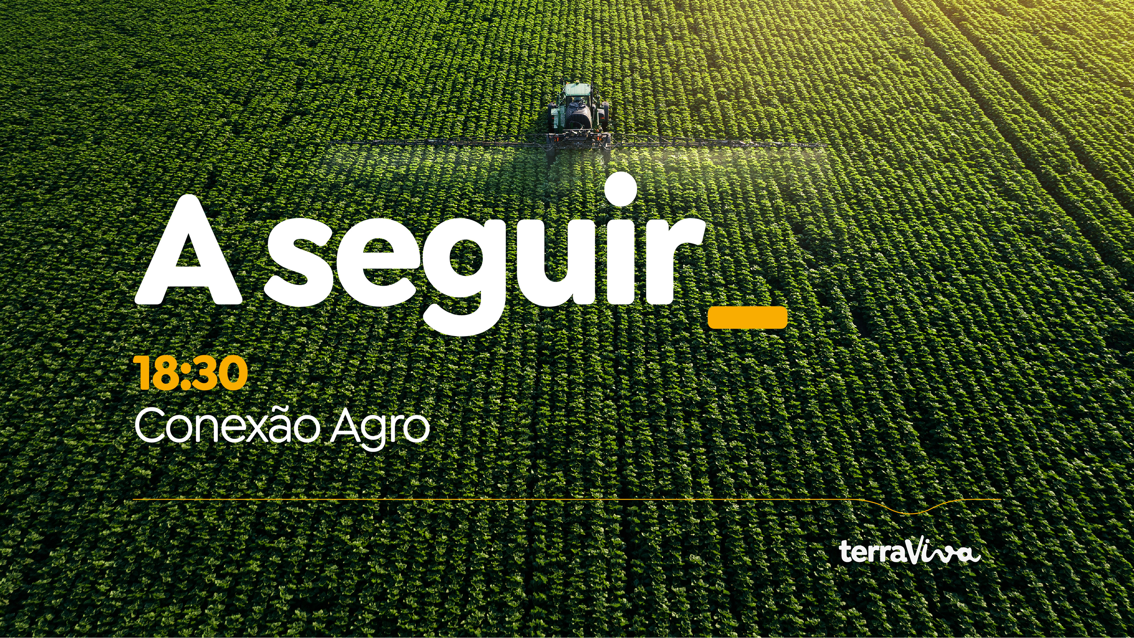 Imagem aérea de plantação com chamada para programa “Conexão Agro”, reforçando Branding e visual consistente da Terraviva.