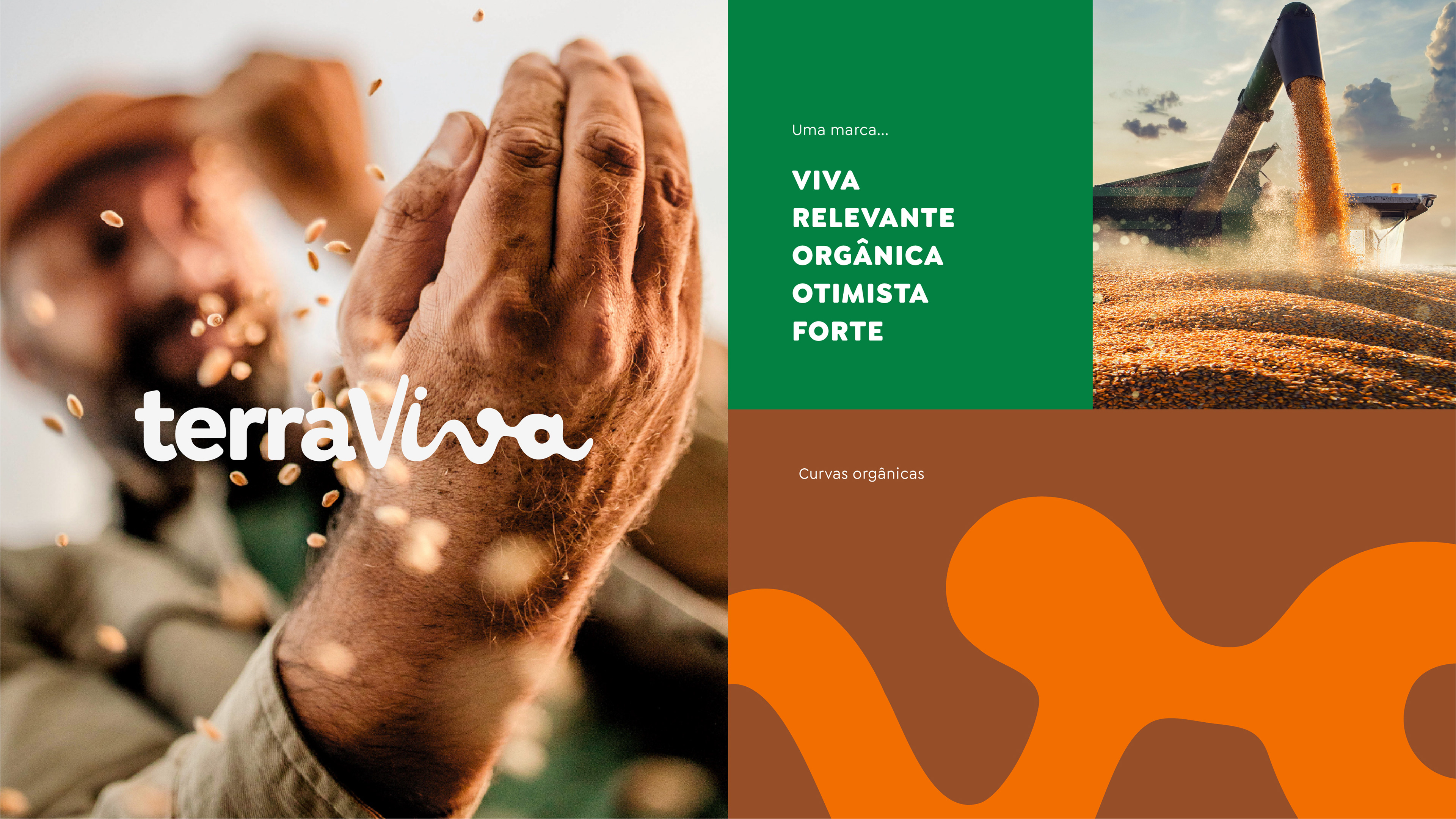 Composição visual da marca Terraviva com logo, curvas orgânicas e elementos de Branding voltados ao agronegócio.