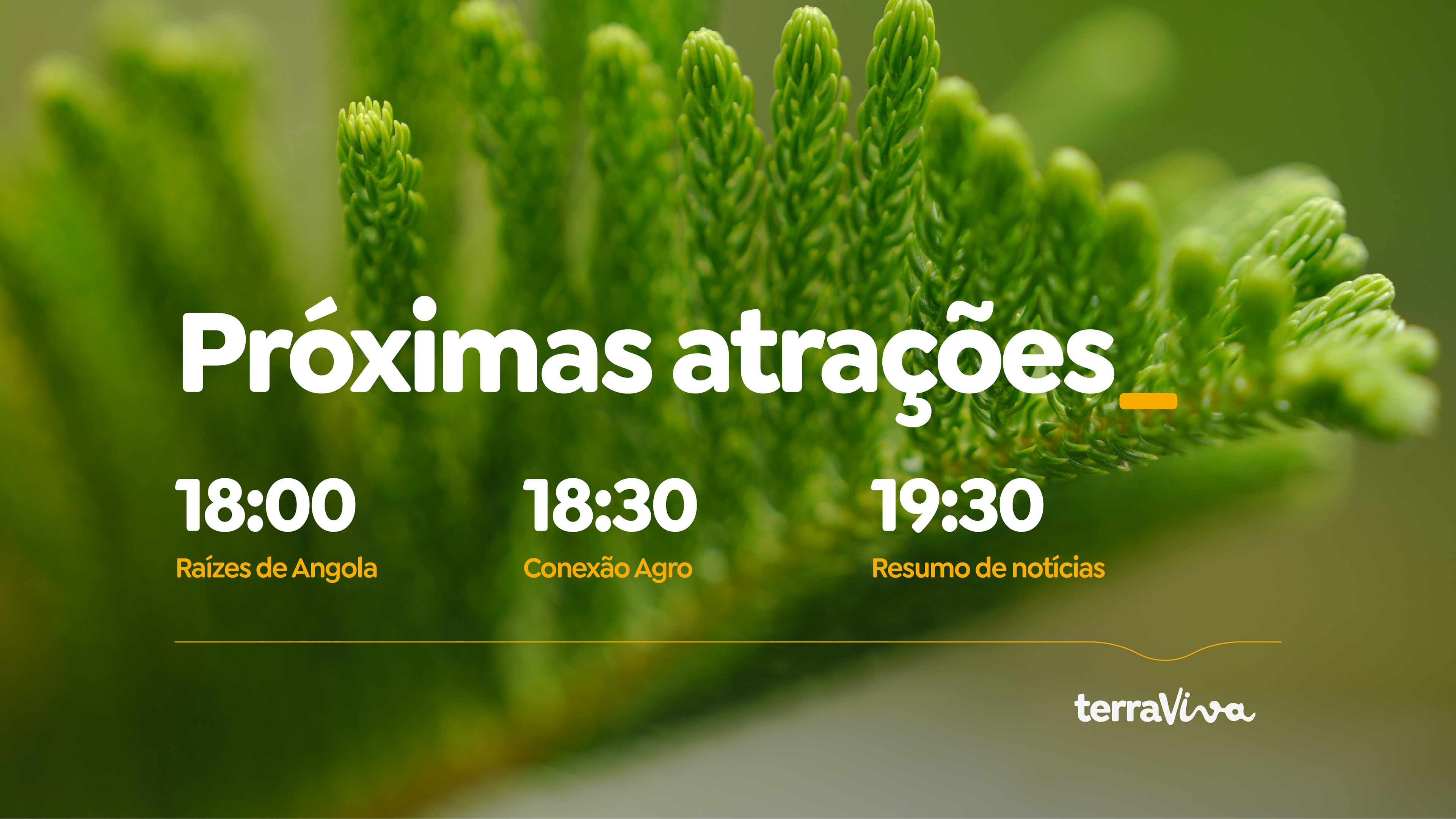 Layout gráfico clean com fundo orgânico e tipografia de alto contraste, reforçando design informativo e branding para mídia agro.