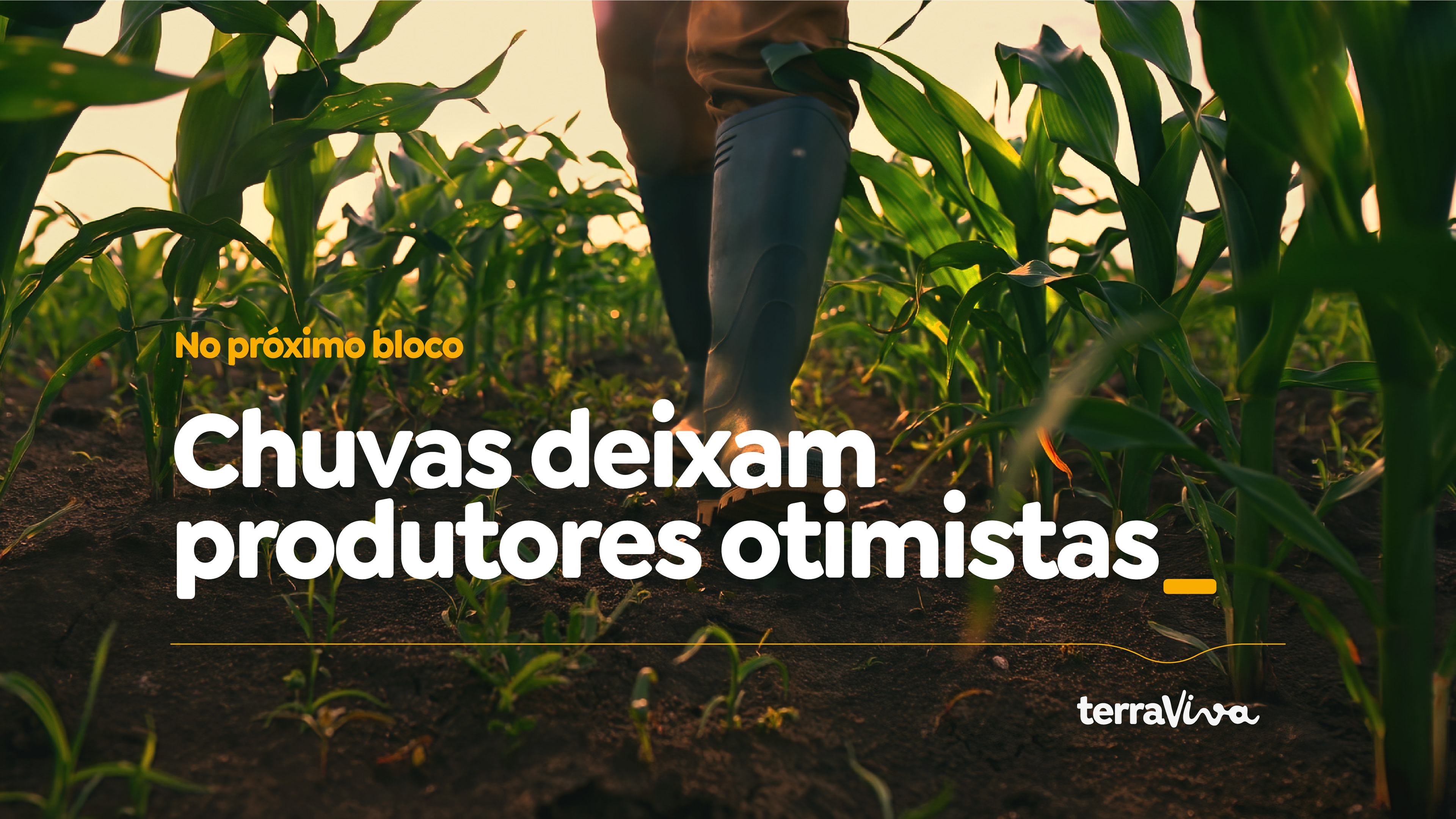 Imagem de lavoura com texto “Chuvas deixam produtores otimistas”, aplicando identidade visual Terraviva e tipografia marcante.