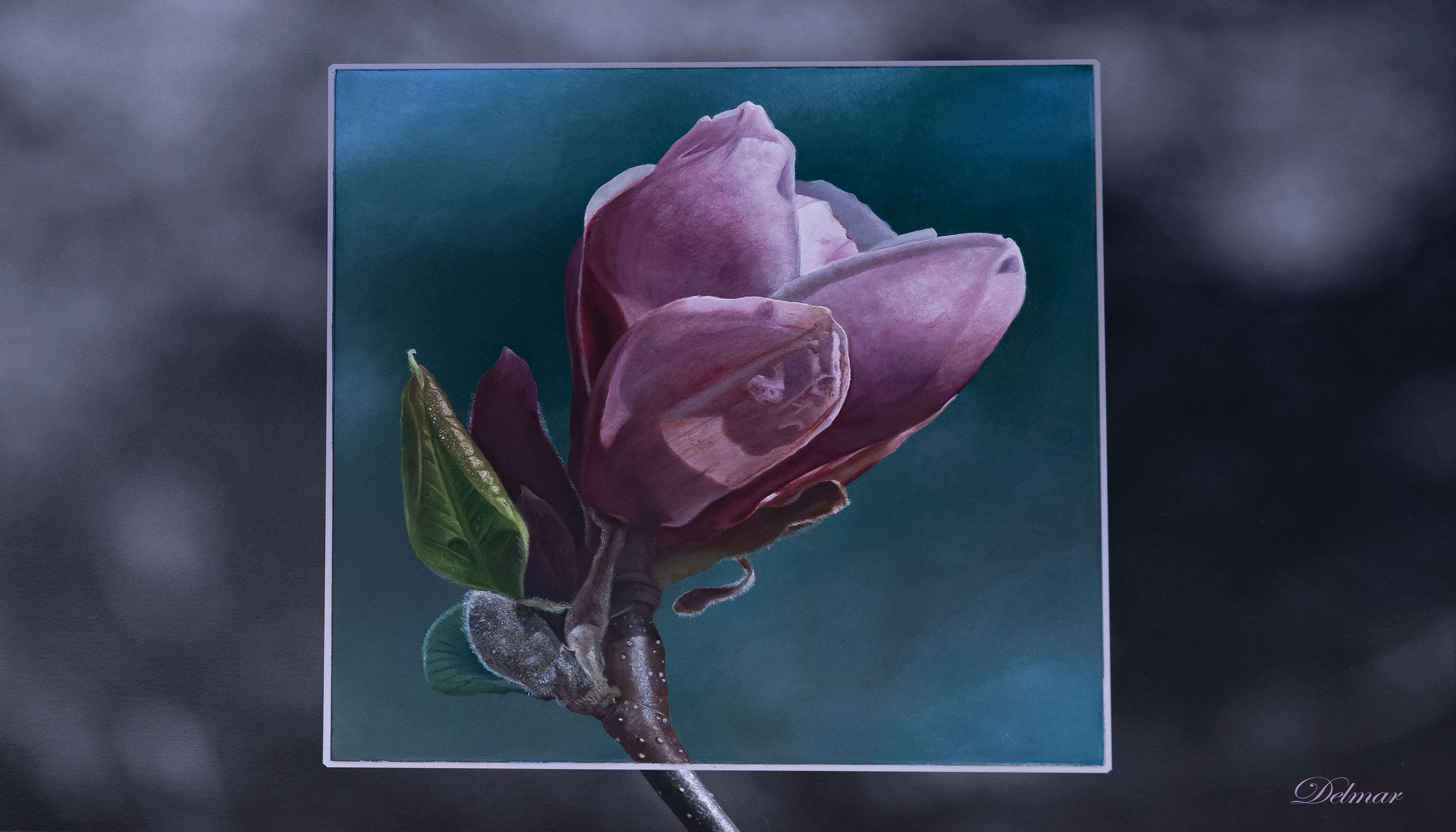 magnolia - olieverf op aluminium