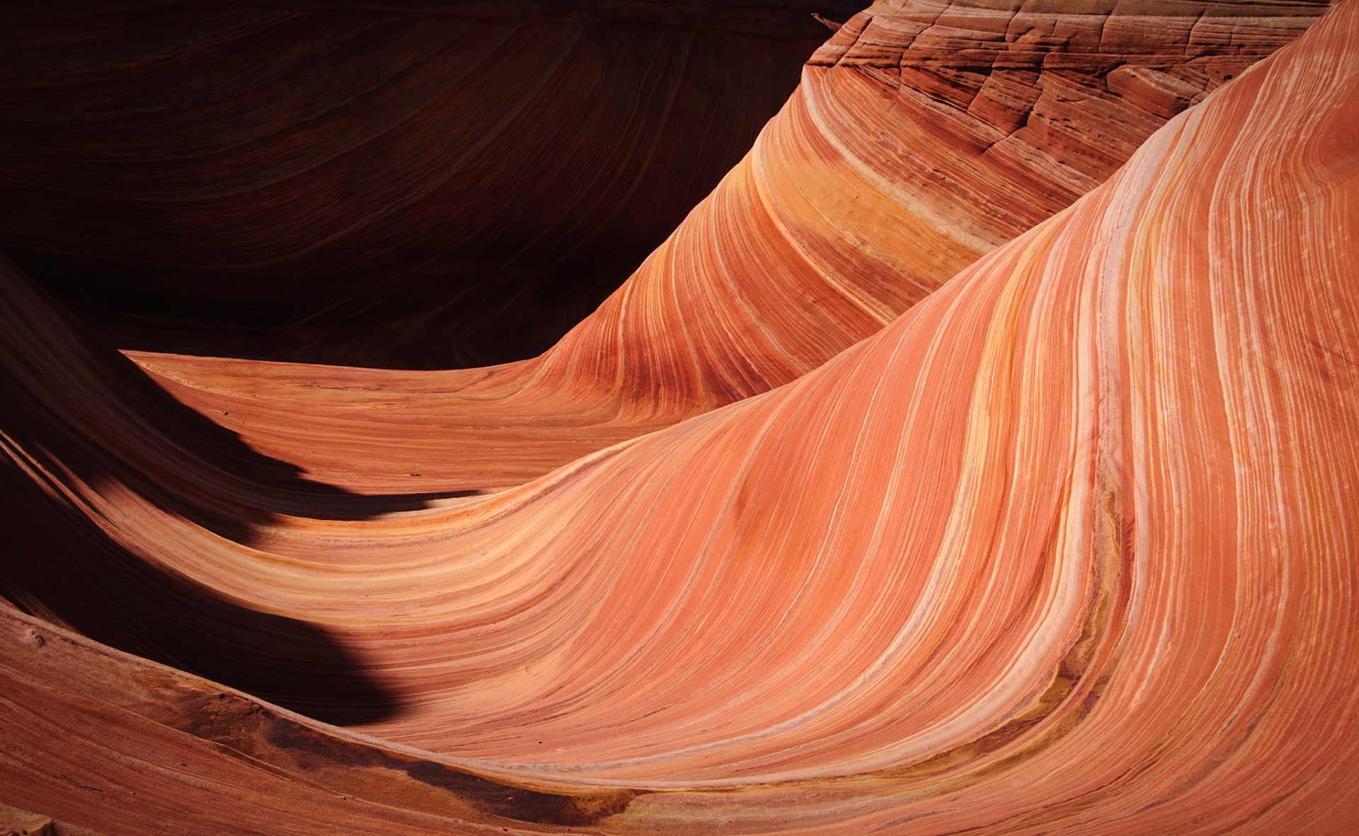 The Wave, Utah