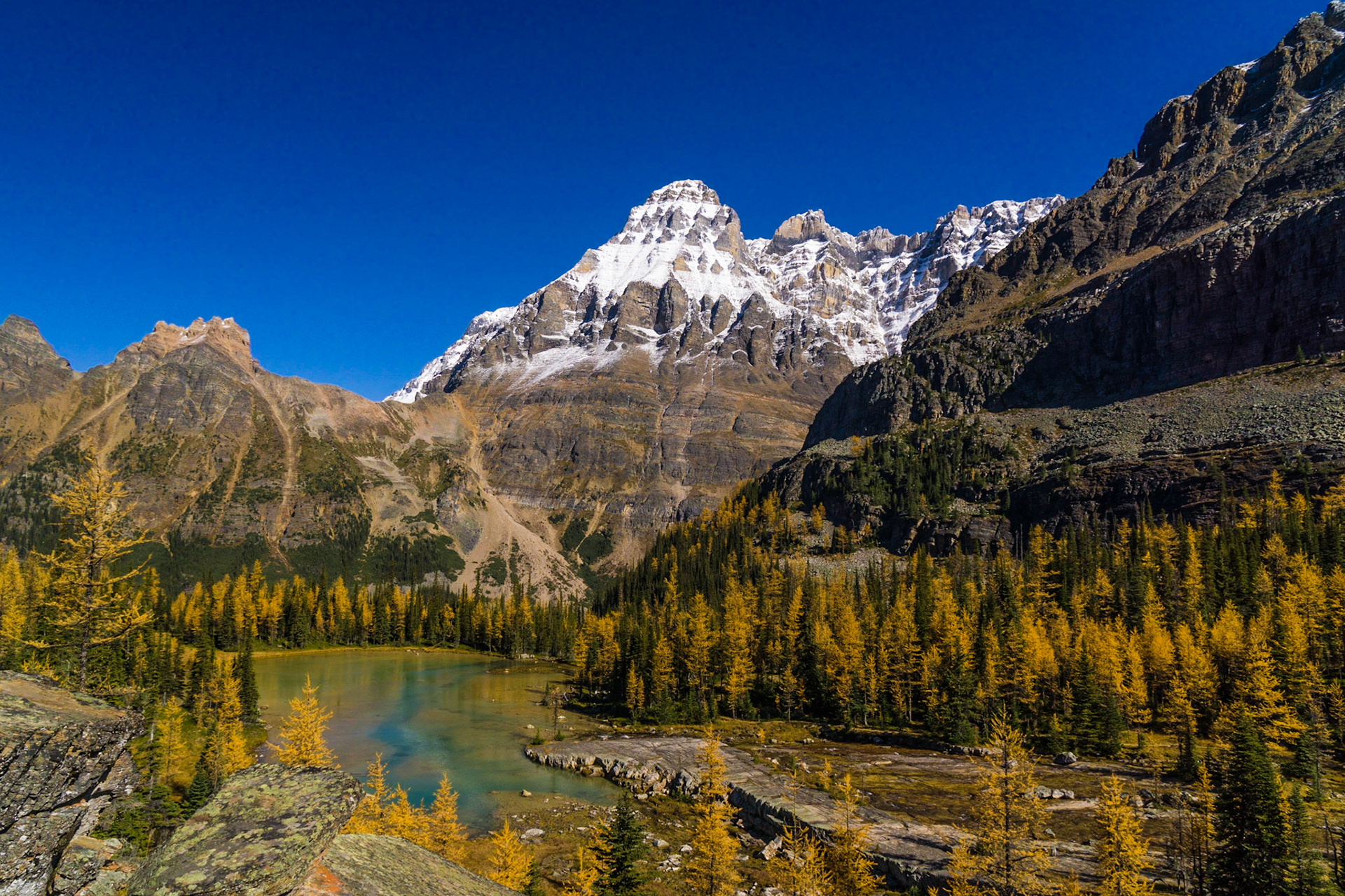 Opabin Plateau, Yoho National Park