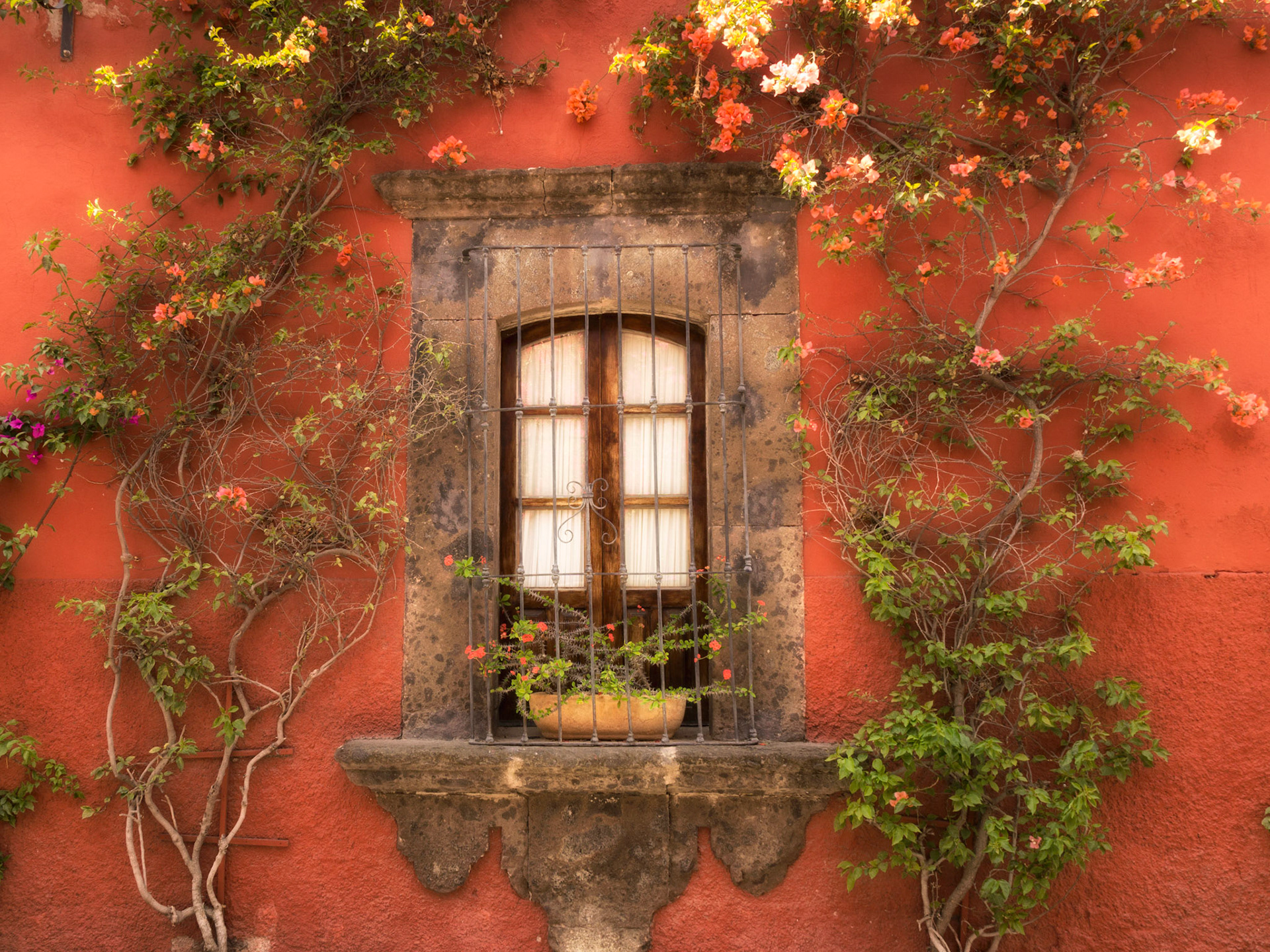 San Miguel de Allende, Mexico
