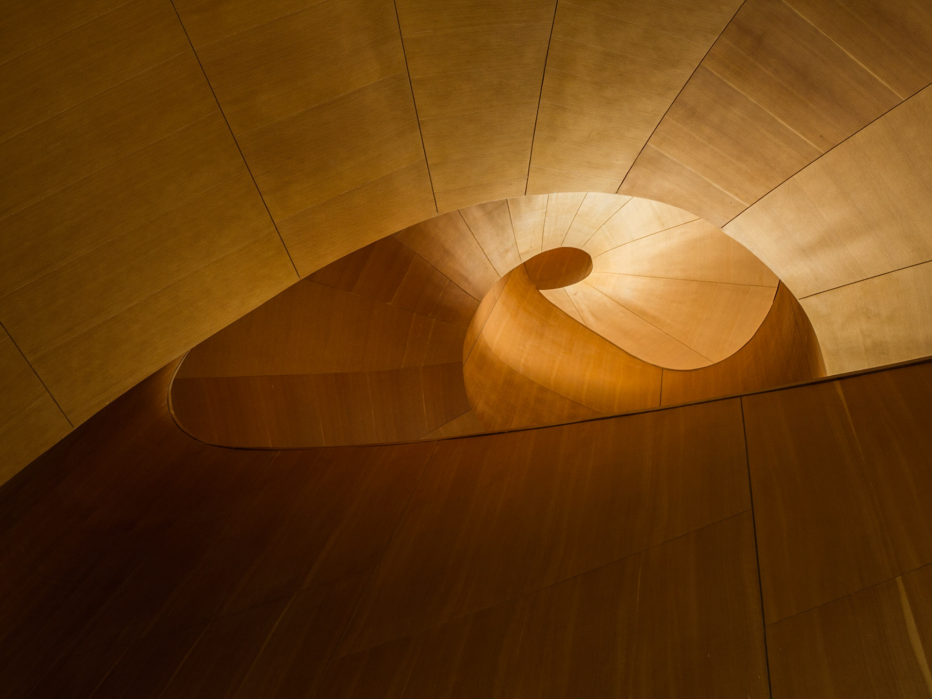 Frank Gehry Staircase, Art Gallery of Ontario