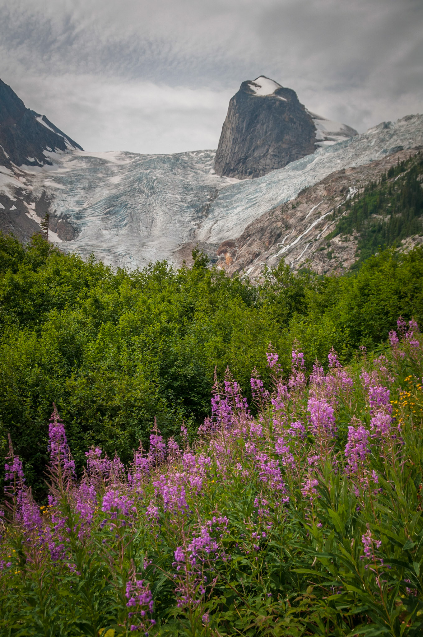 Bugaboo Mountains, British Columbia