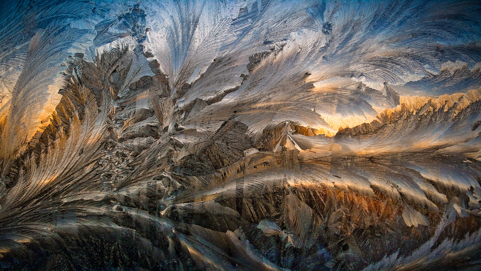 Window frost