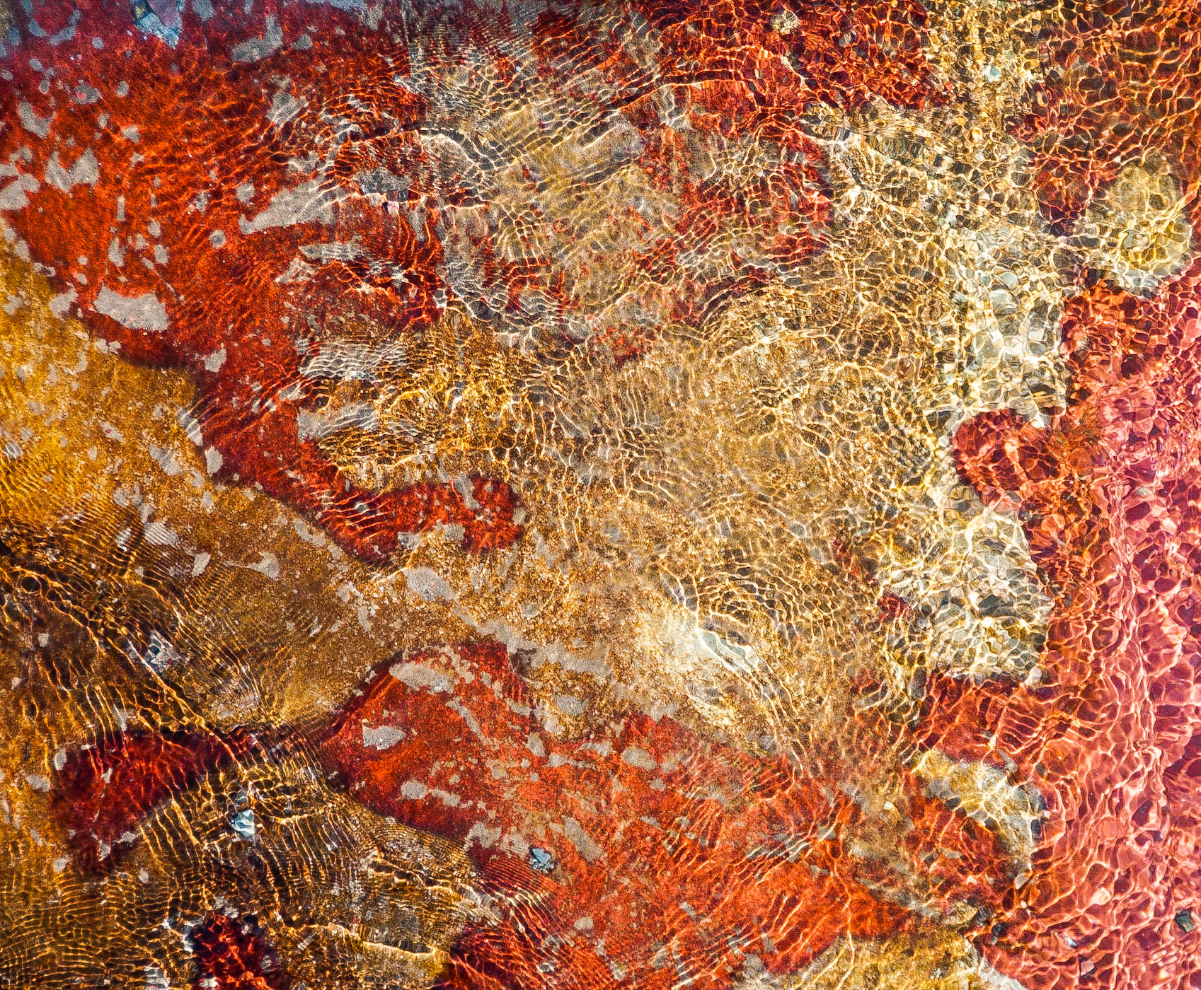 Creek, Red Rock Canyon