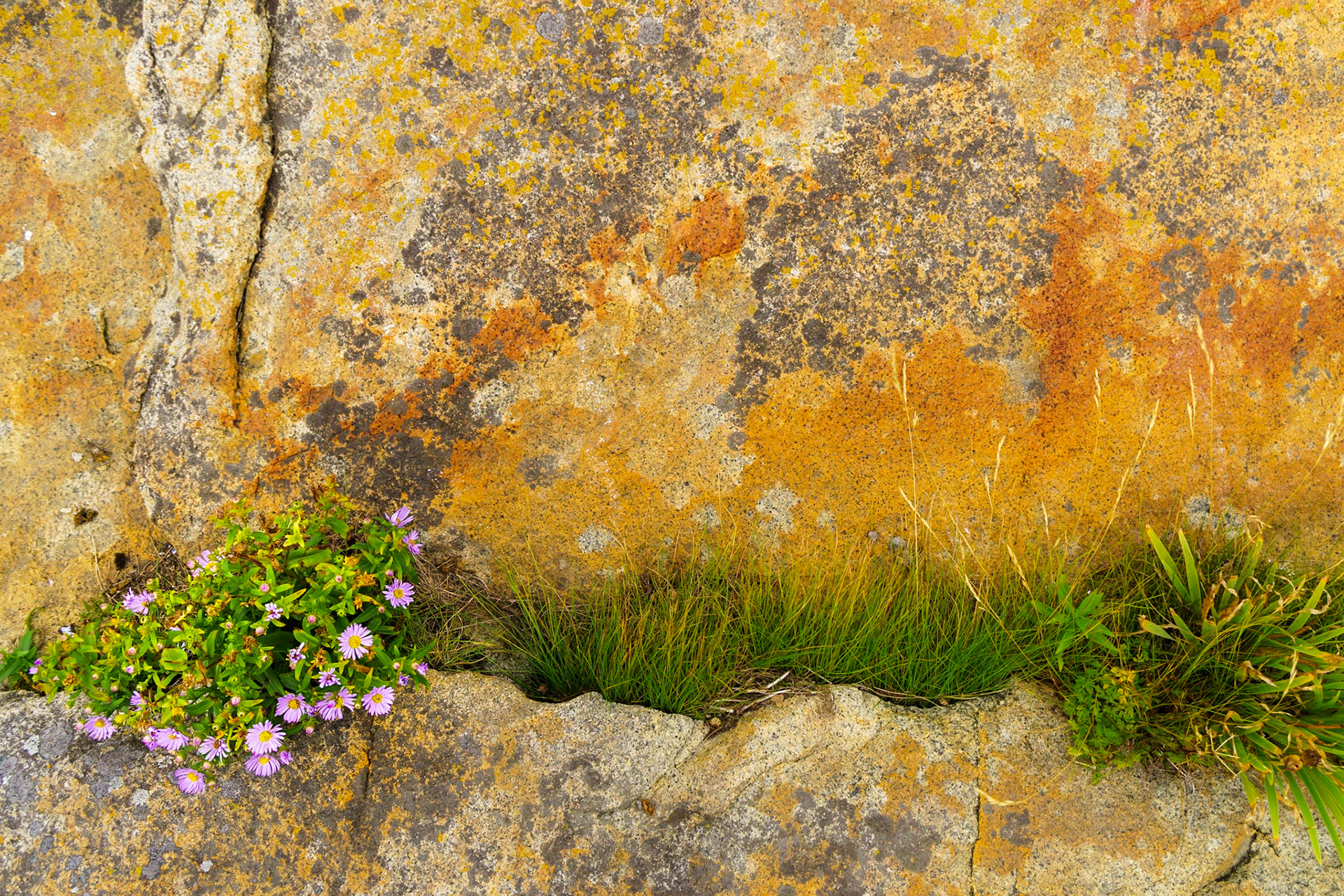 Fogo Island, Newfoundland