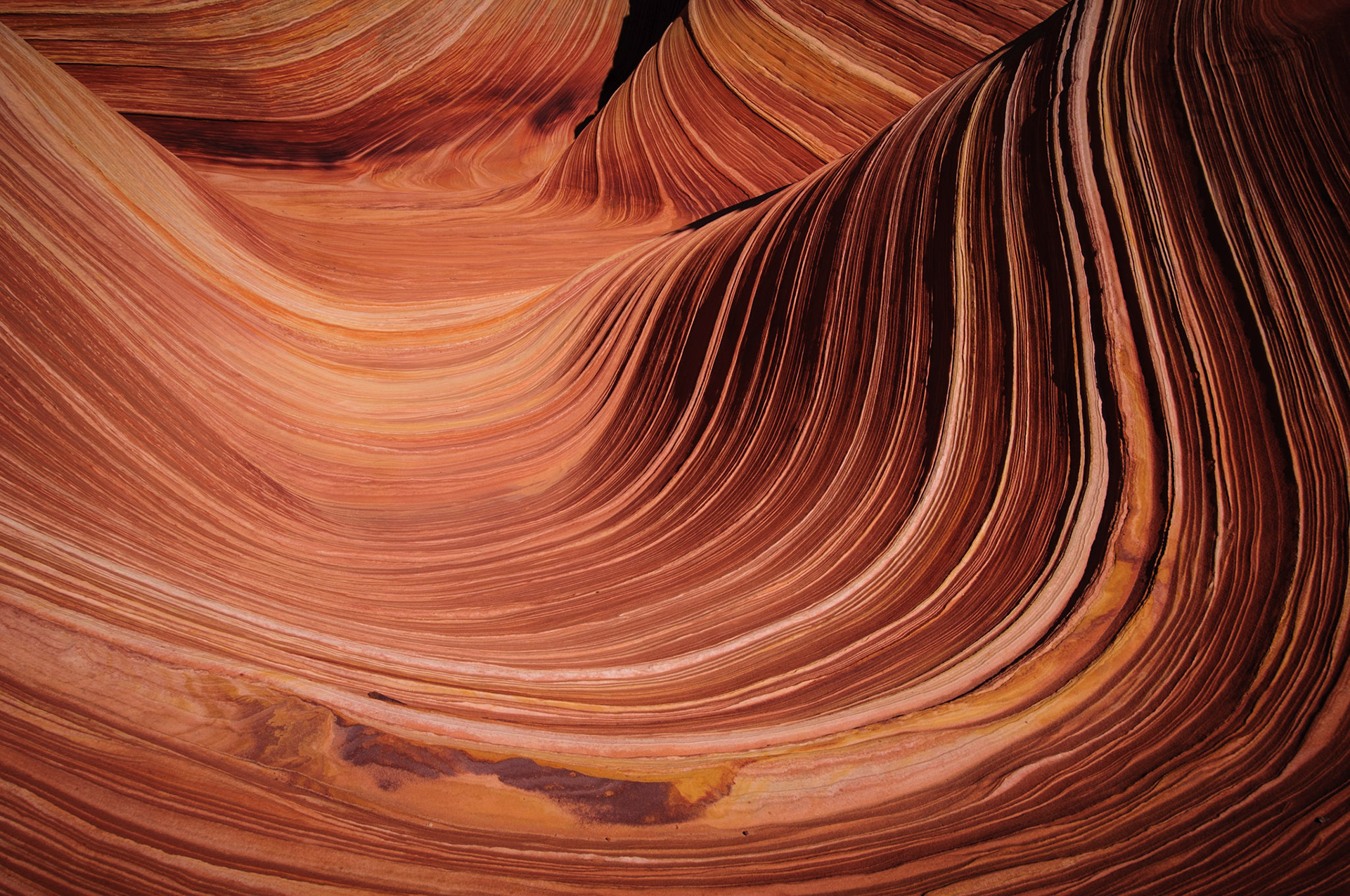 The Wave, Utah