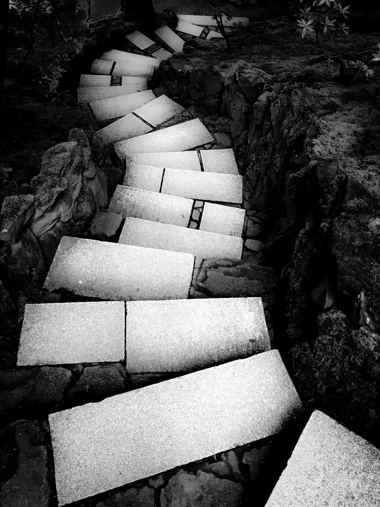 Japanese Garden, Portland