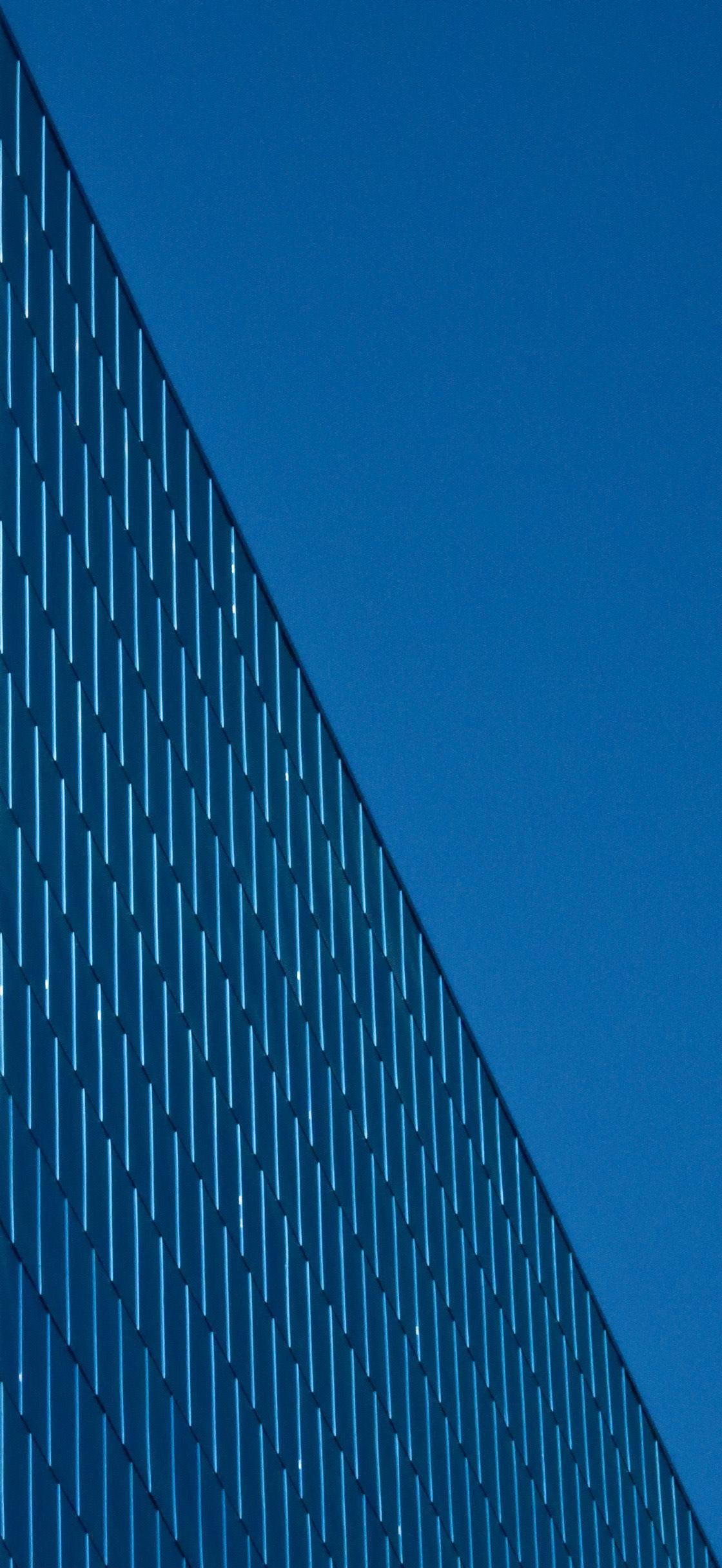 Art Gallery of Ontario wall