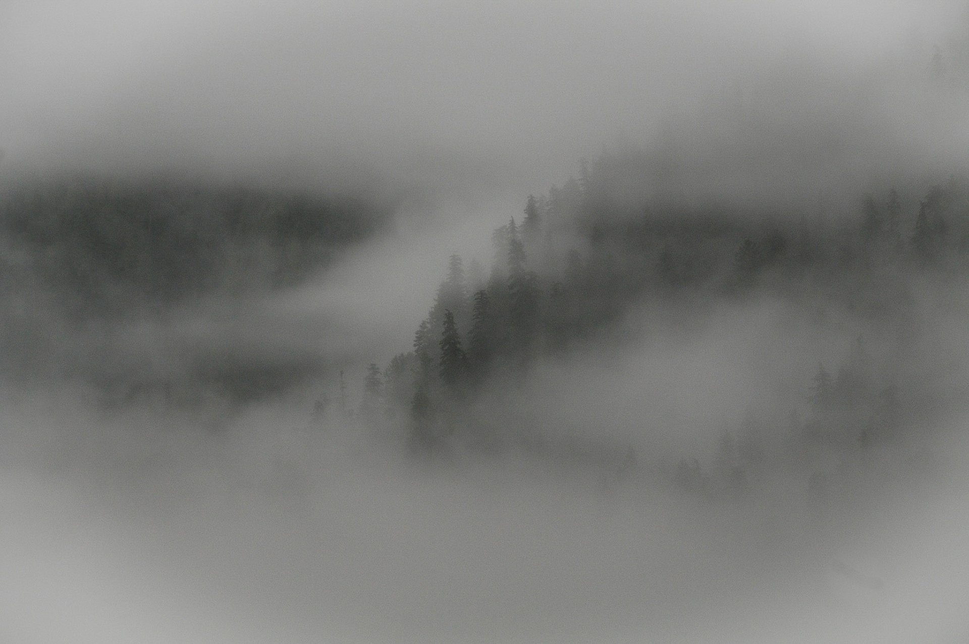 West Coast Rainforest, British Columbia