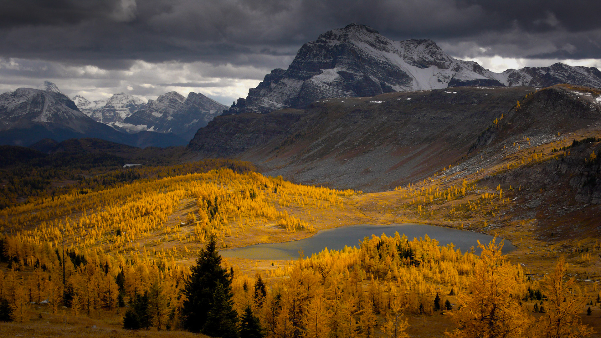 Healy Pass, Alberta