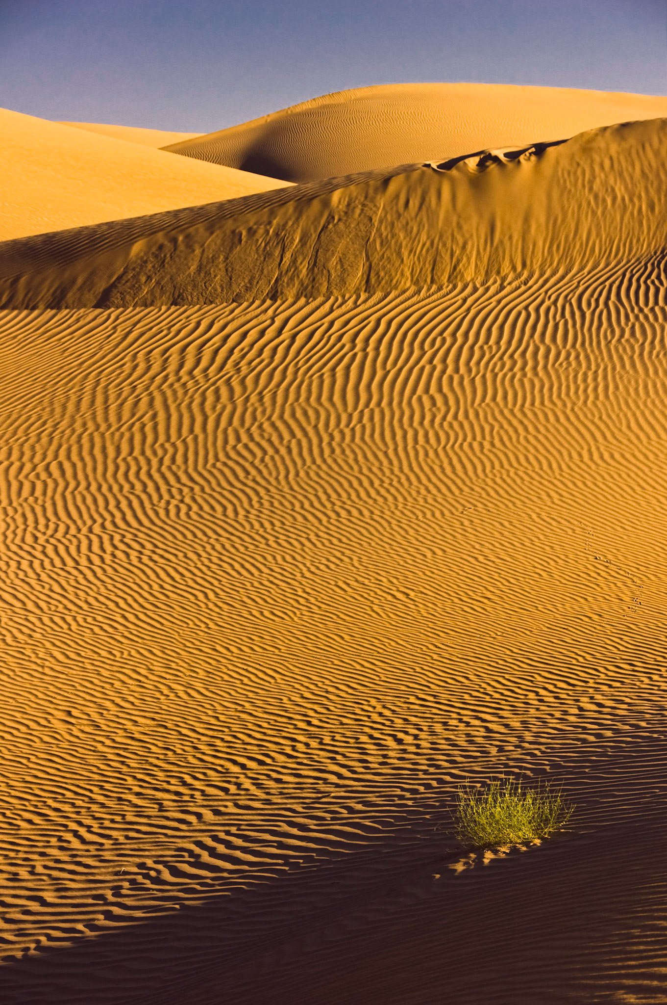 Empty Quarter Desert, Yemen