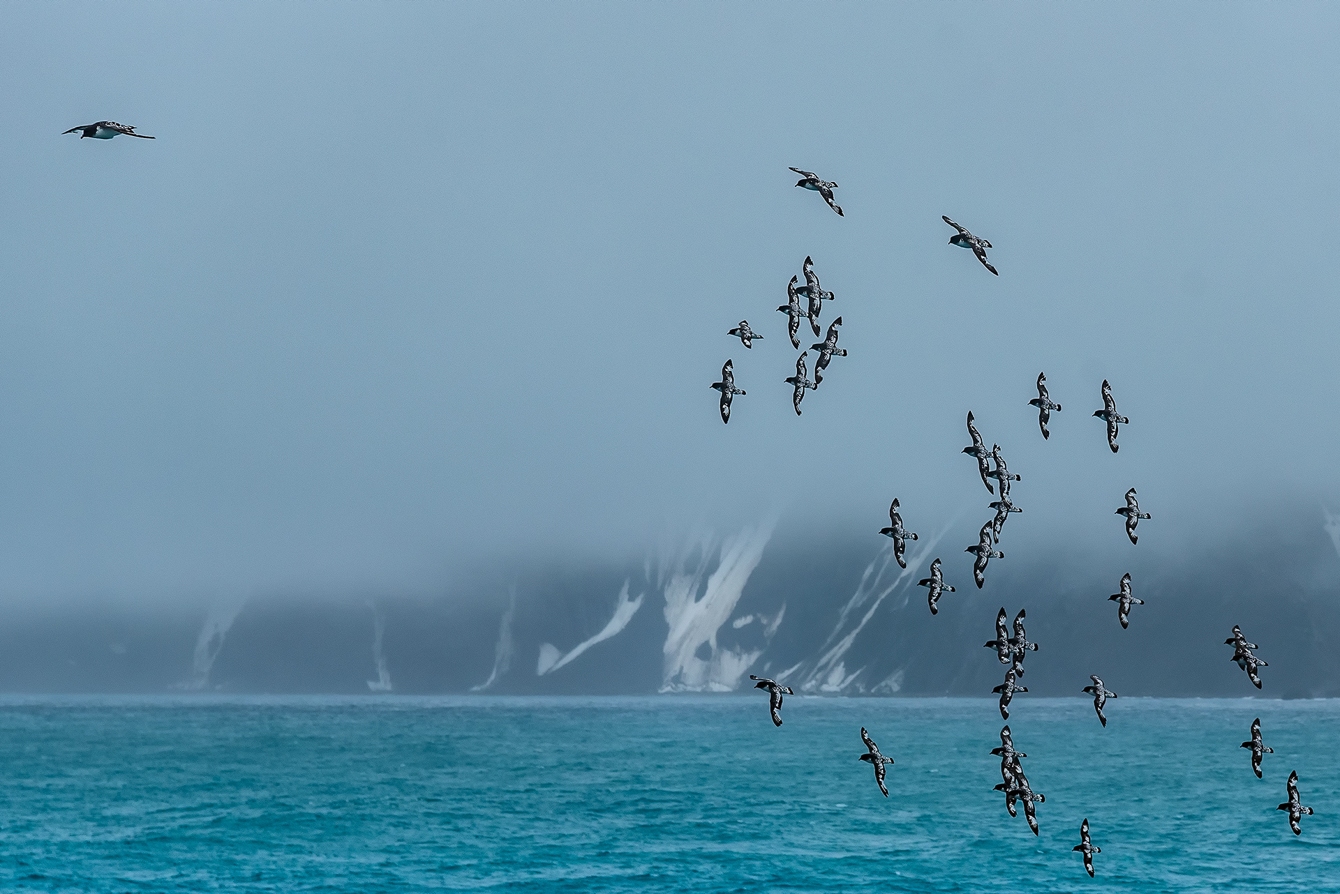 Elephant Island, Antarctica