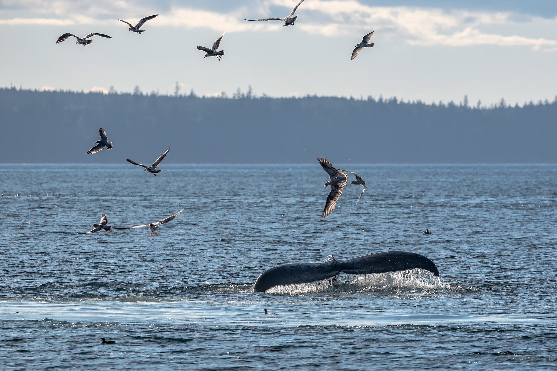 Boughton Archipelago, BC