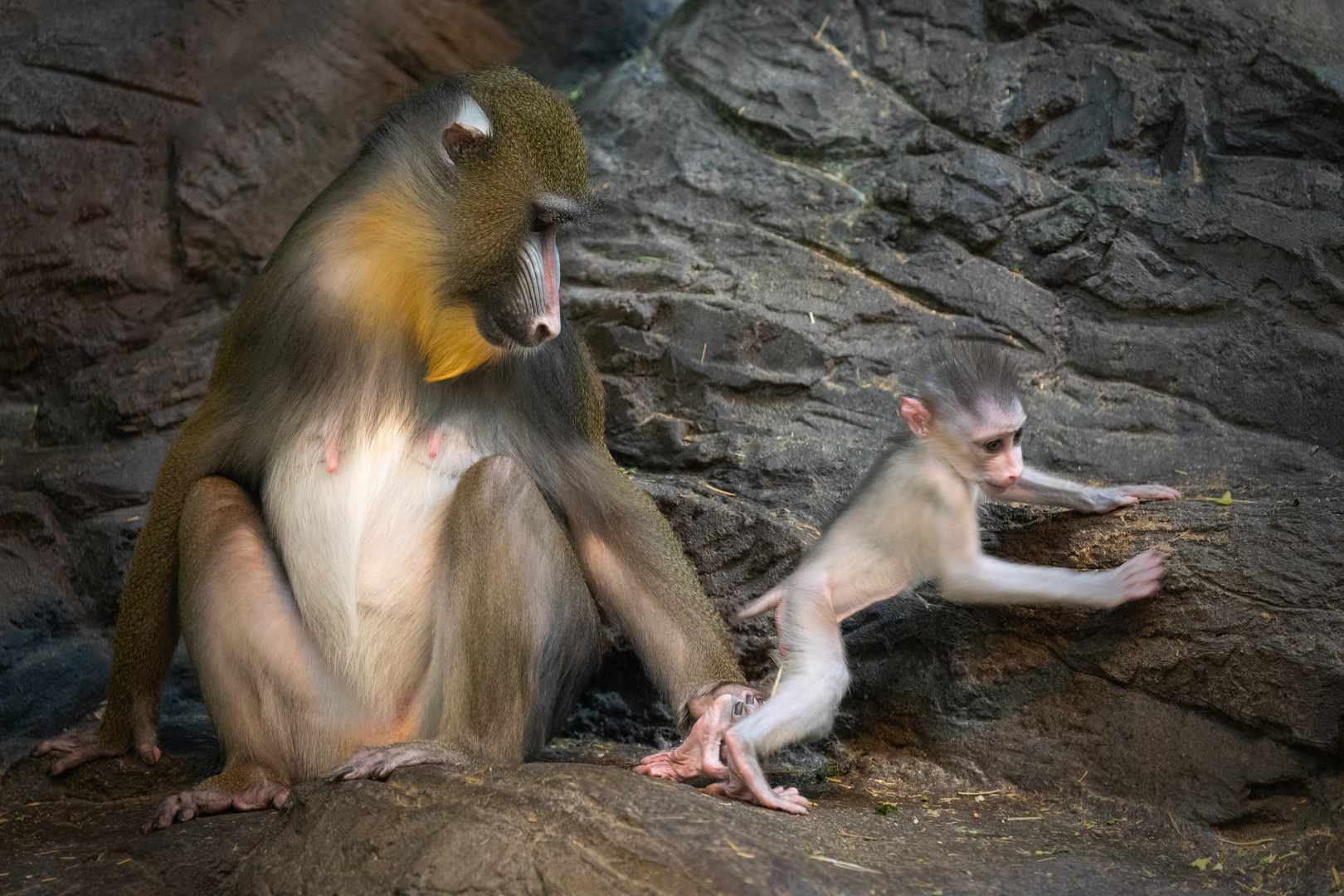 La famille Landreville, Granby