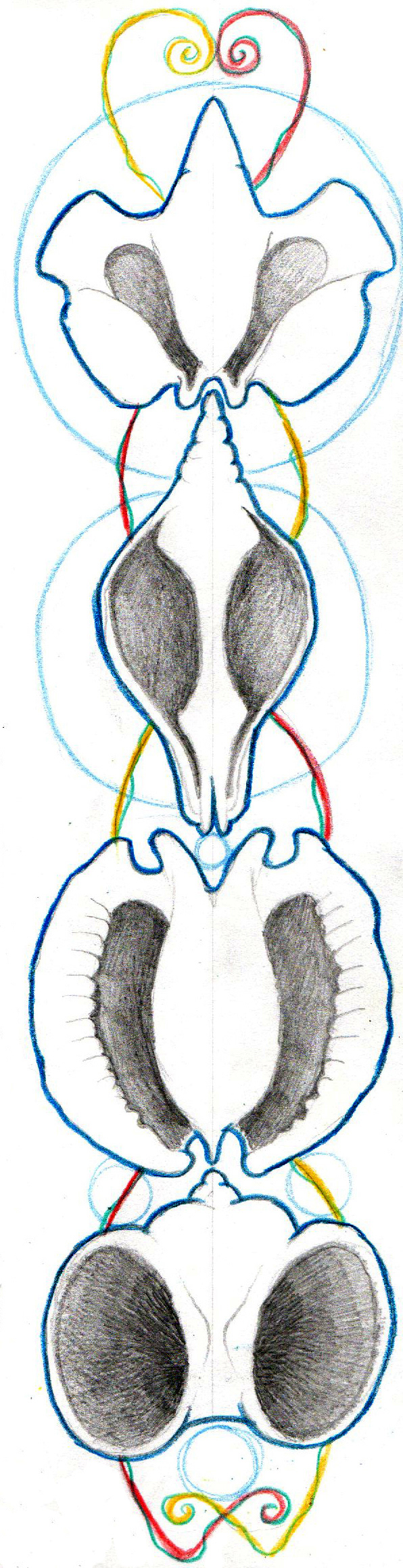 Sketchbook Drawing (Pencil and coloured pencil on paper) 8 x 30cm (2025)