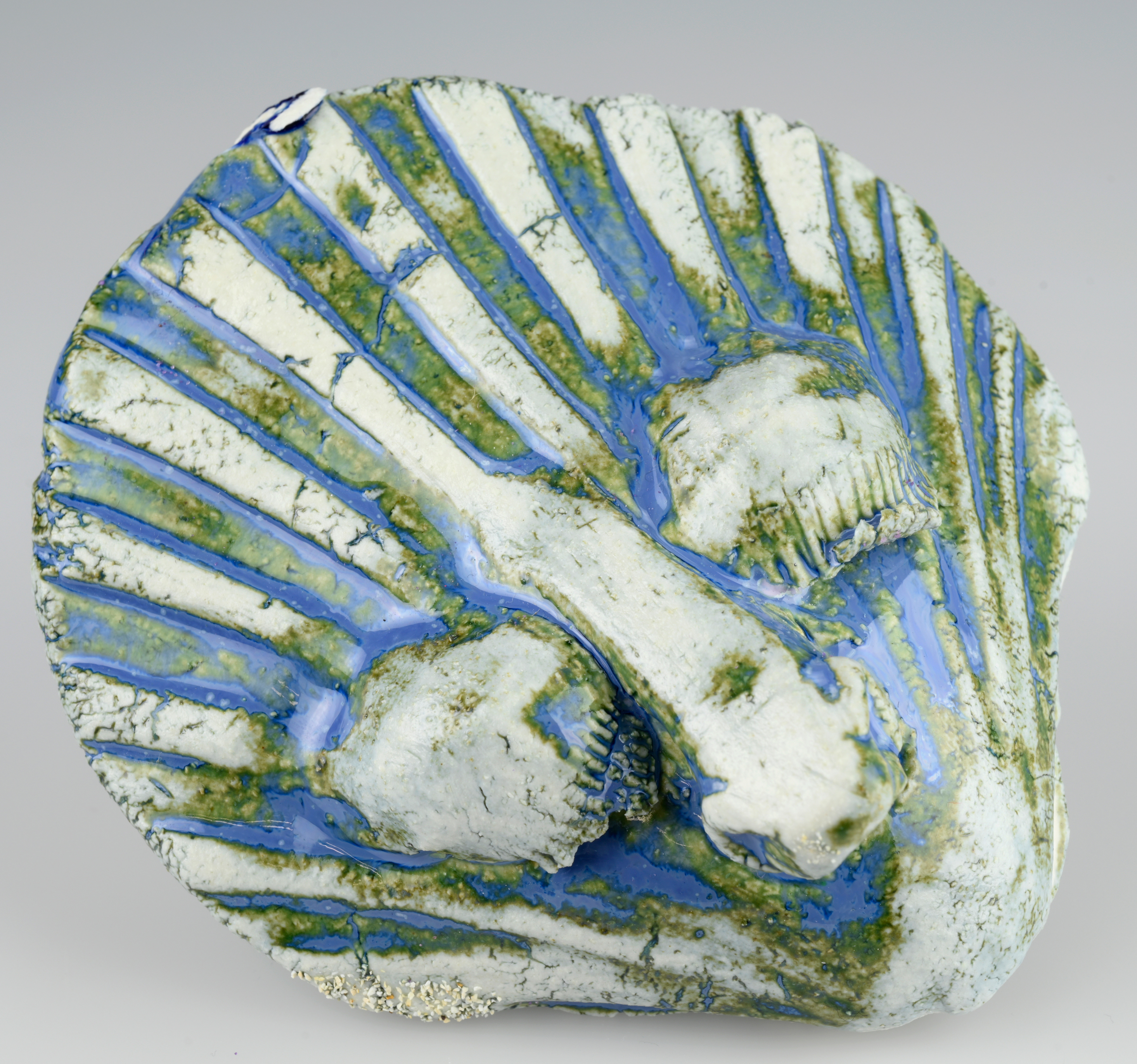 Shell, fragment III (Ceramic) 8 x 5 x 7cm (2024)