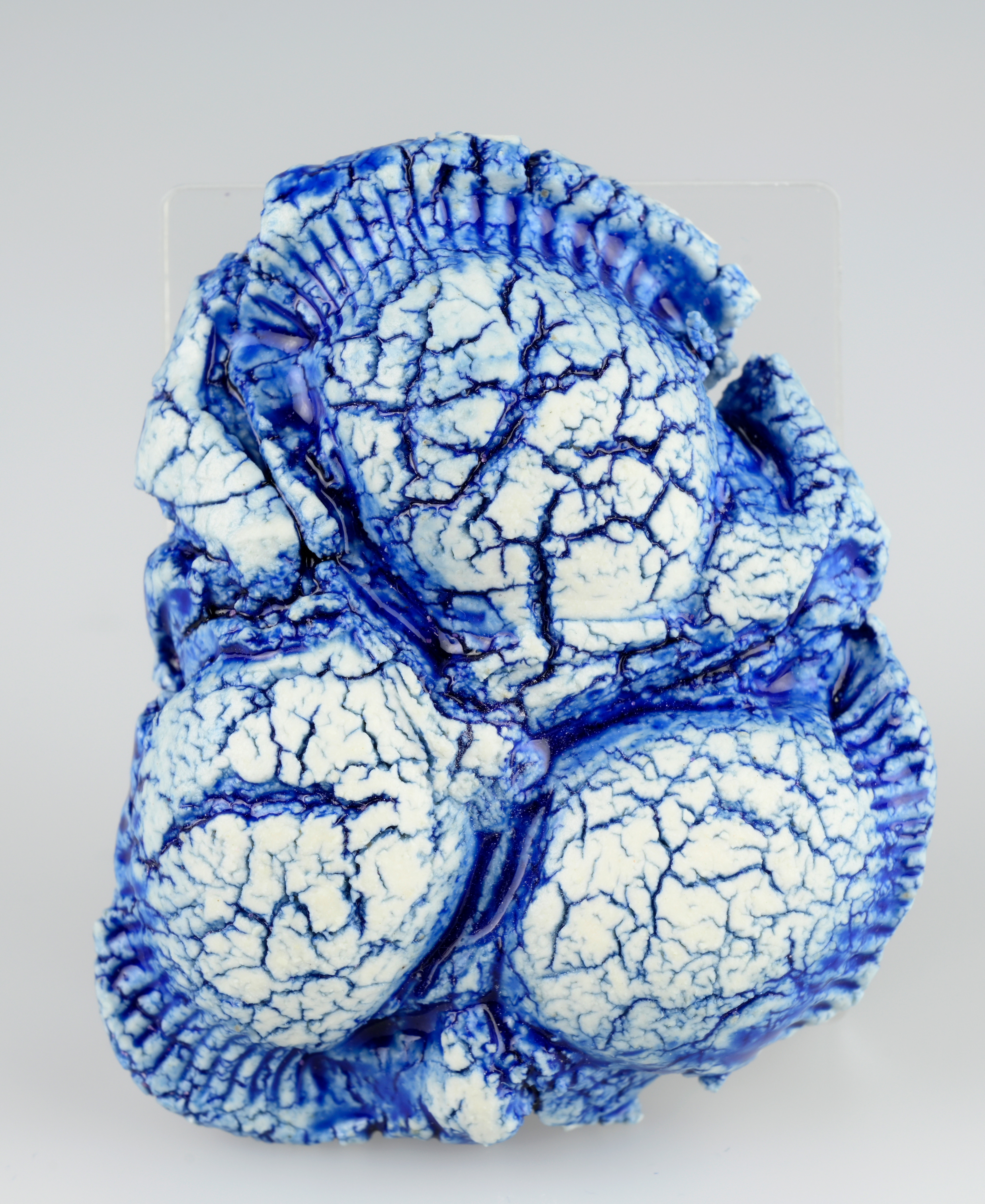 Shell I (Ceramic) 5 x 2.5 x 6cm (2024)