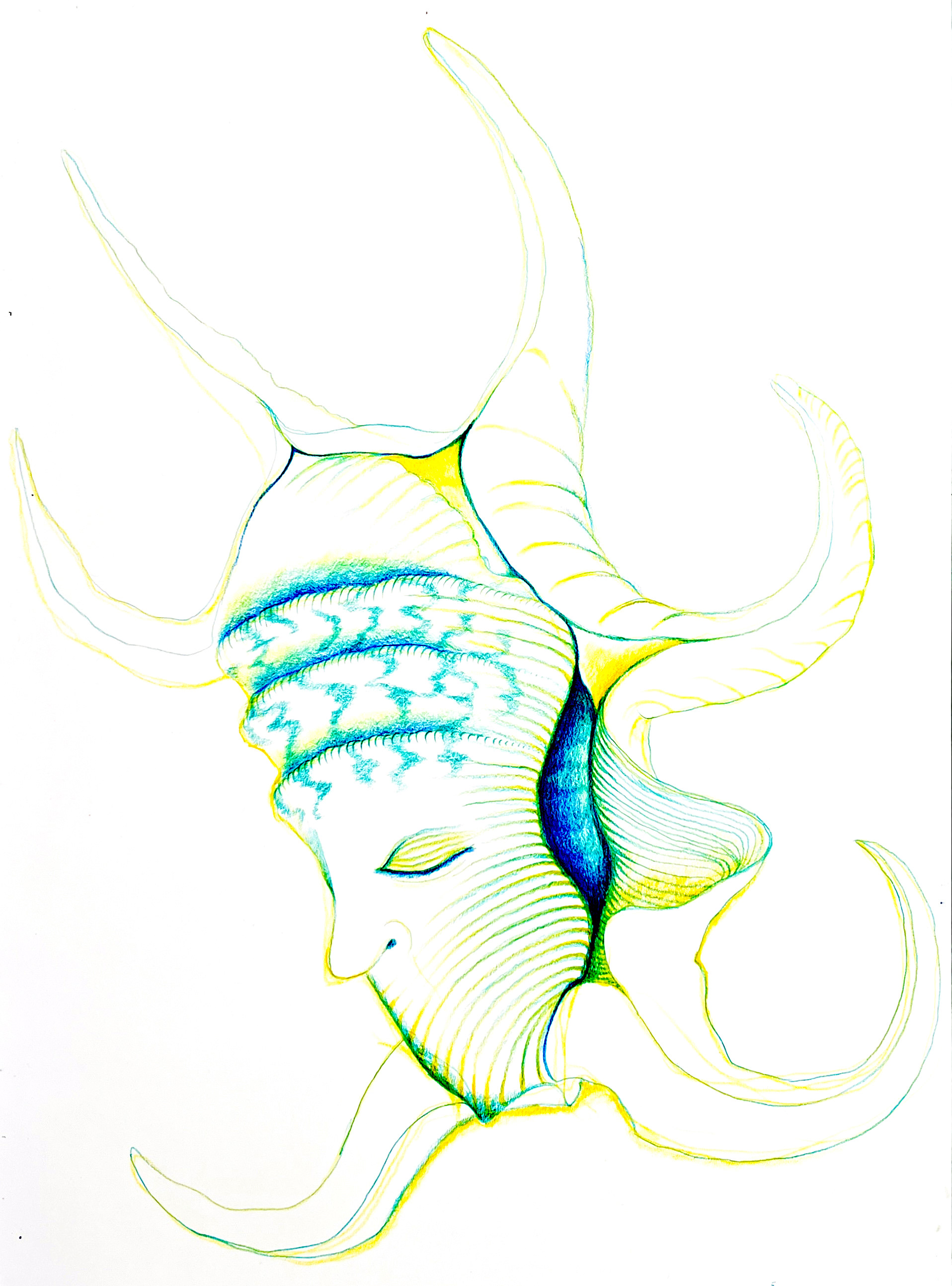 Shell (Coloured pencil on paper) 42 x 59.4cm (2025)